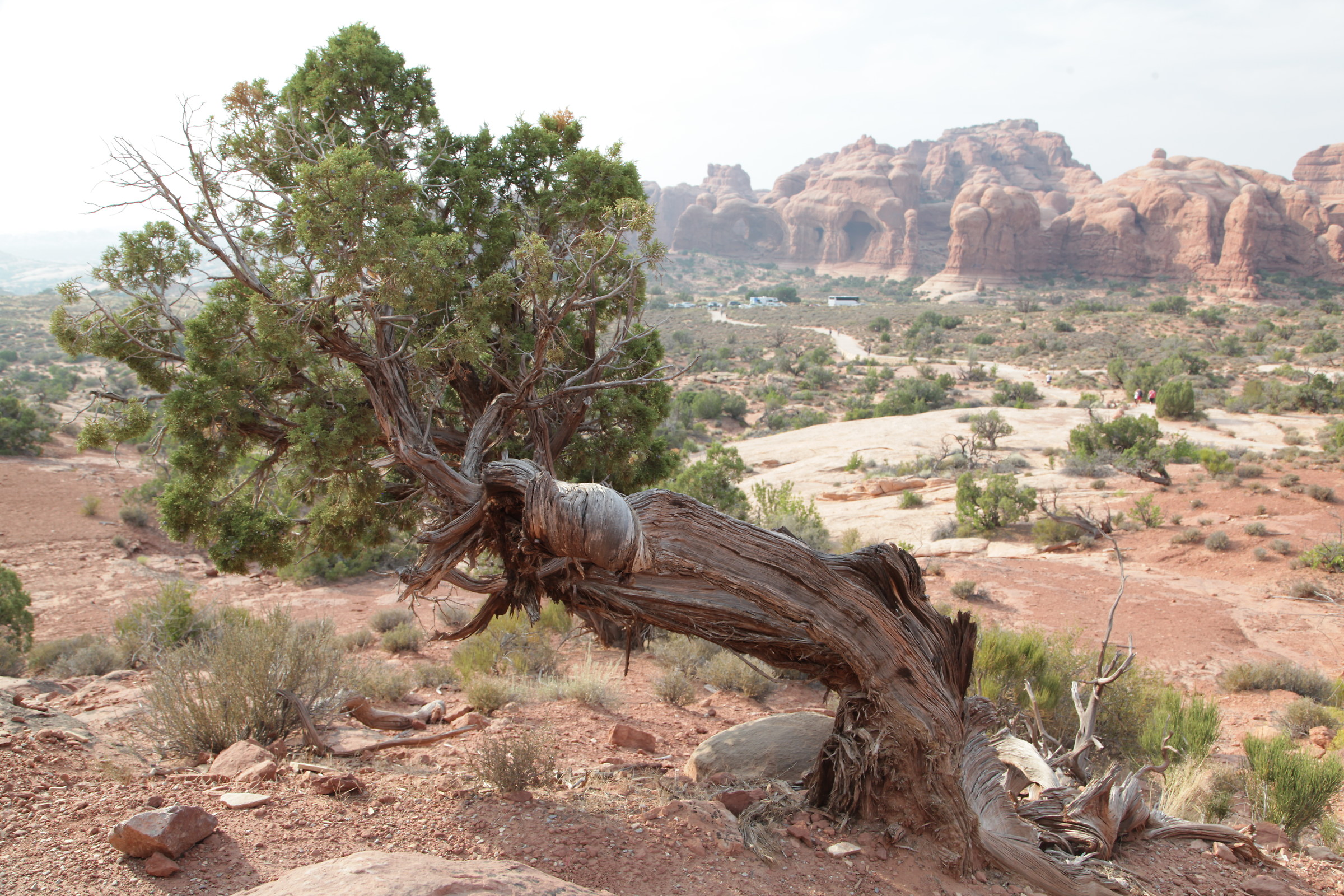 ... how exhausting!!!