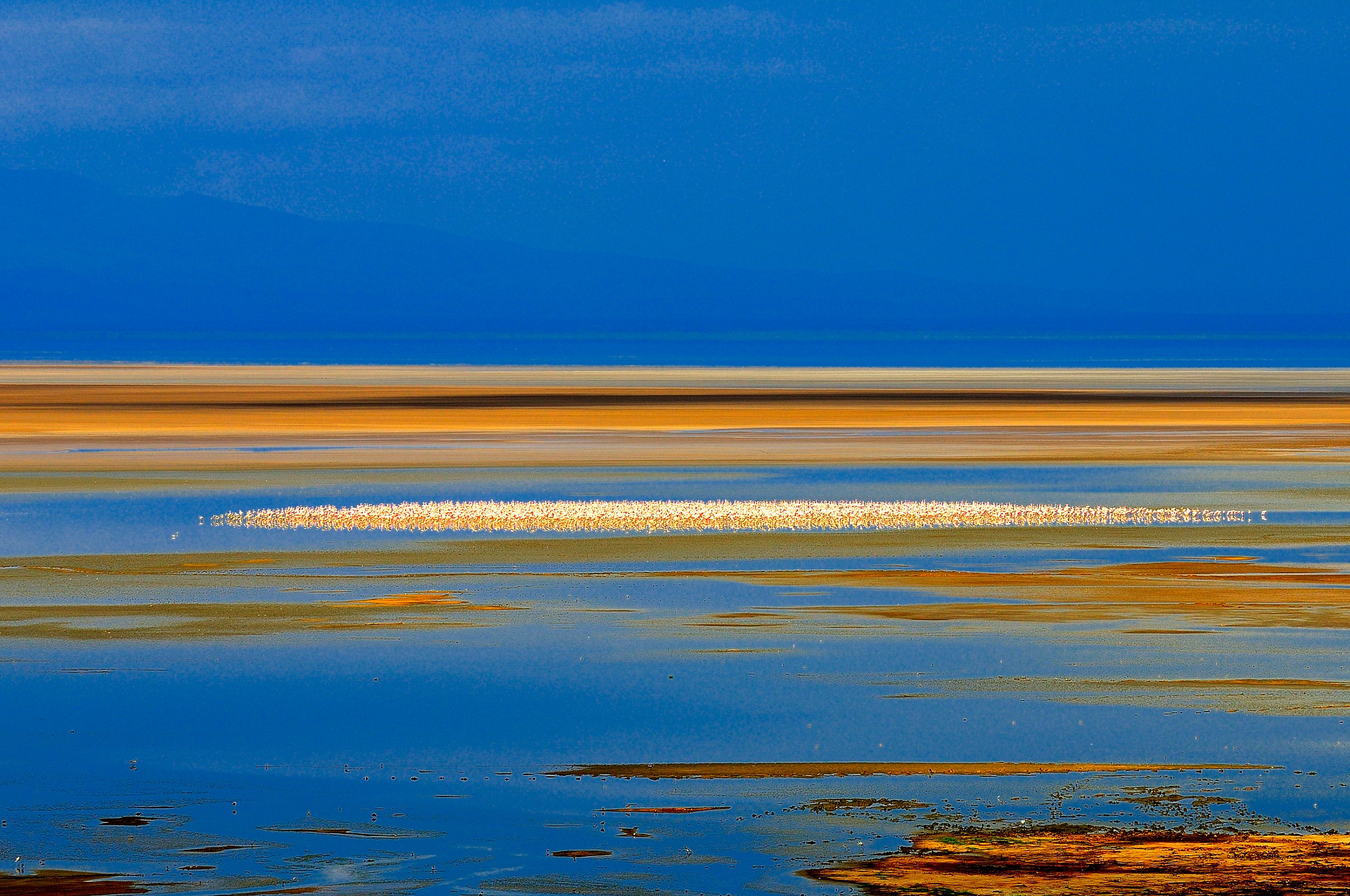 fenicotteri lake maniara