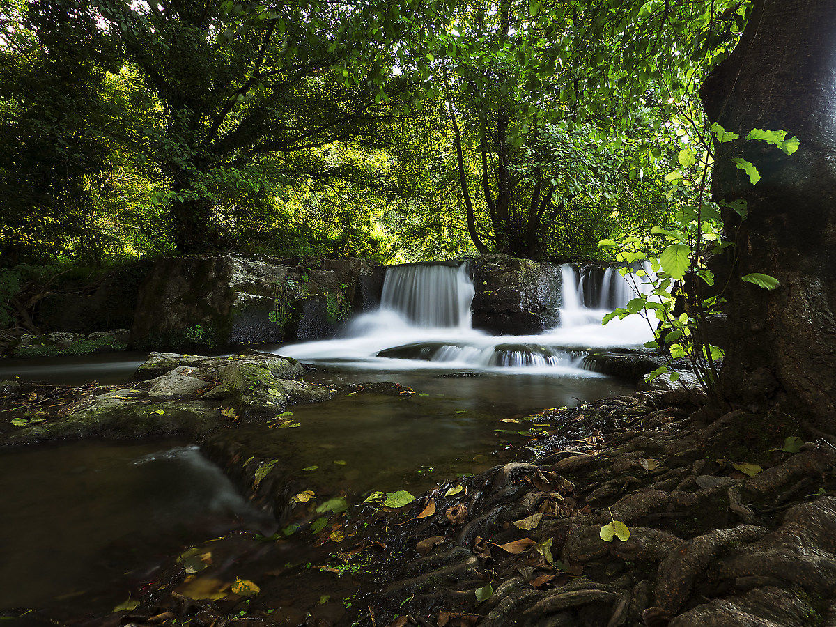 Waiting autumn colors ........