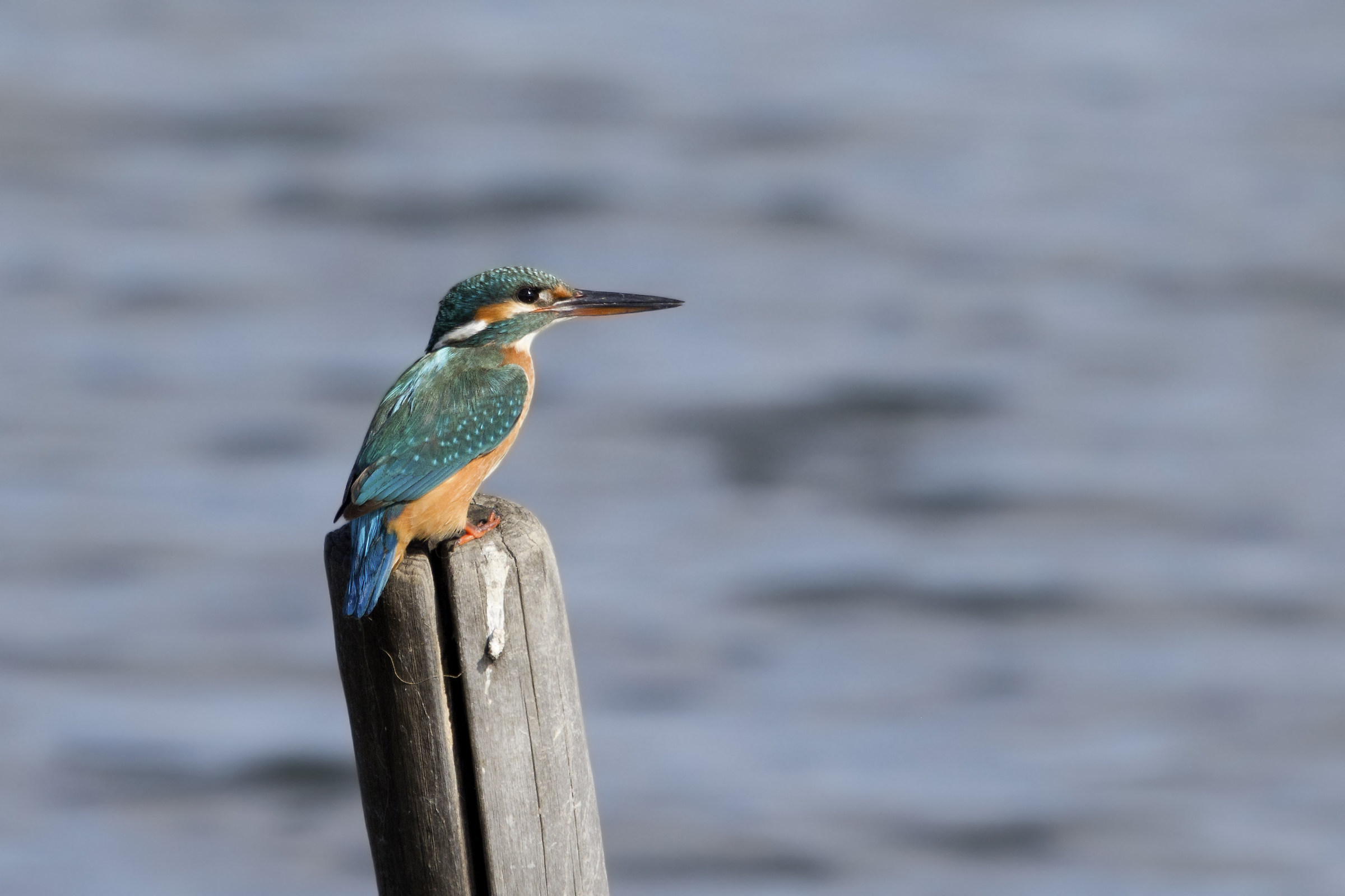 Martina enjoying the sun
