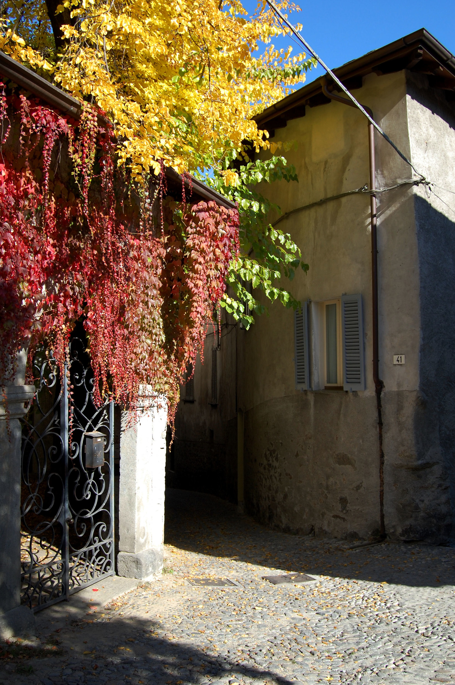 I colori dell'autunno a Ponte in Valtellina