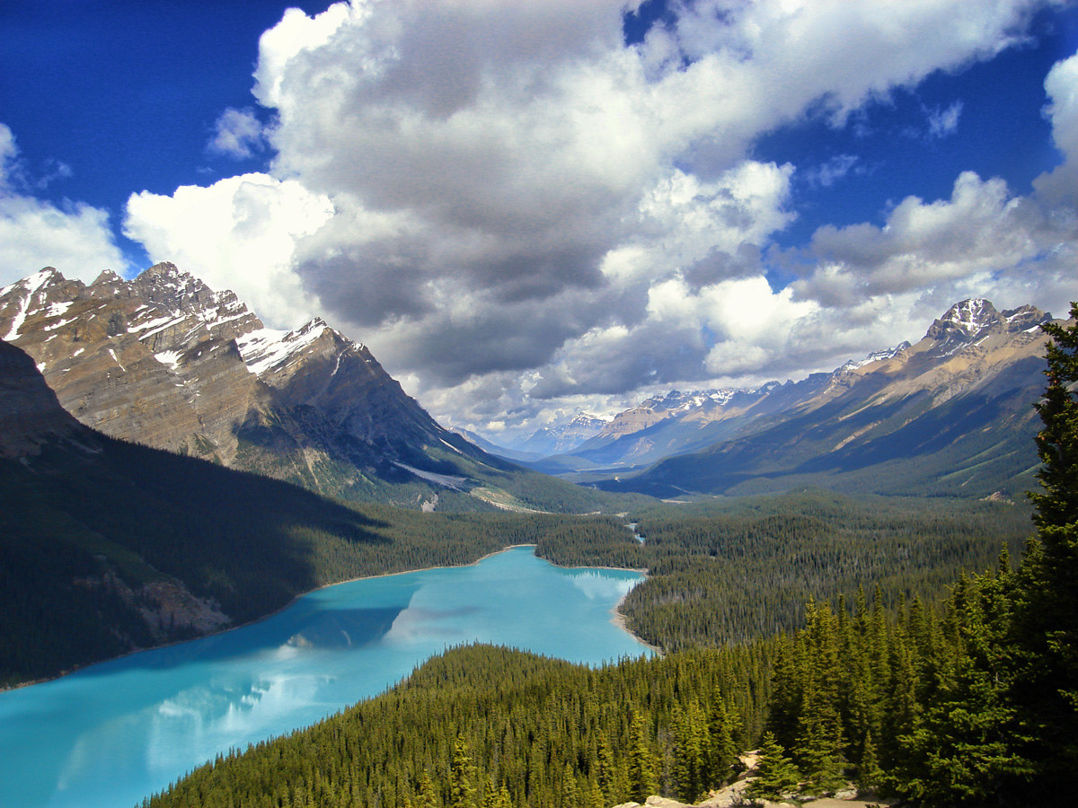 Peyto Lake _ Canada