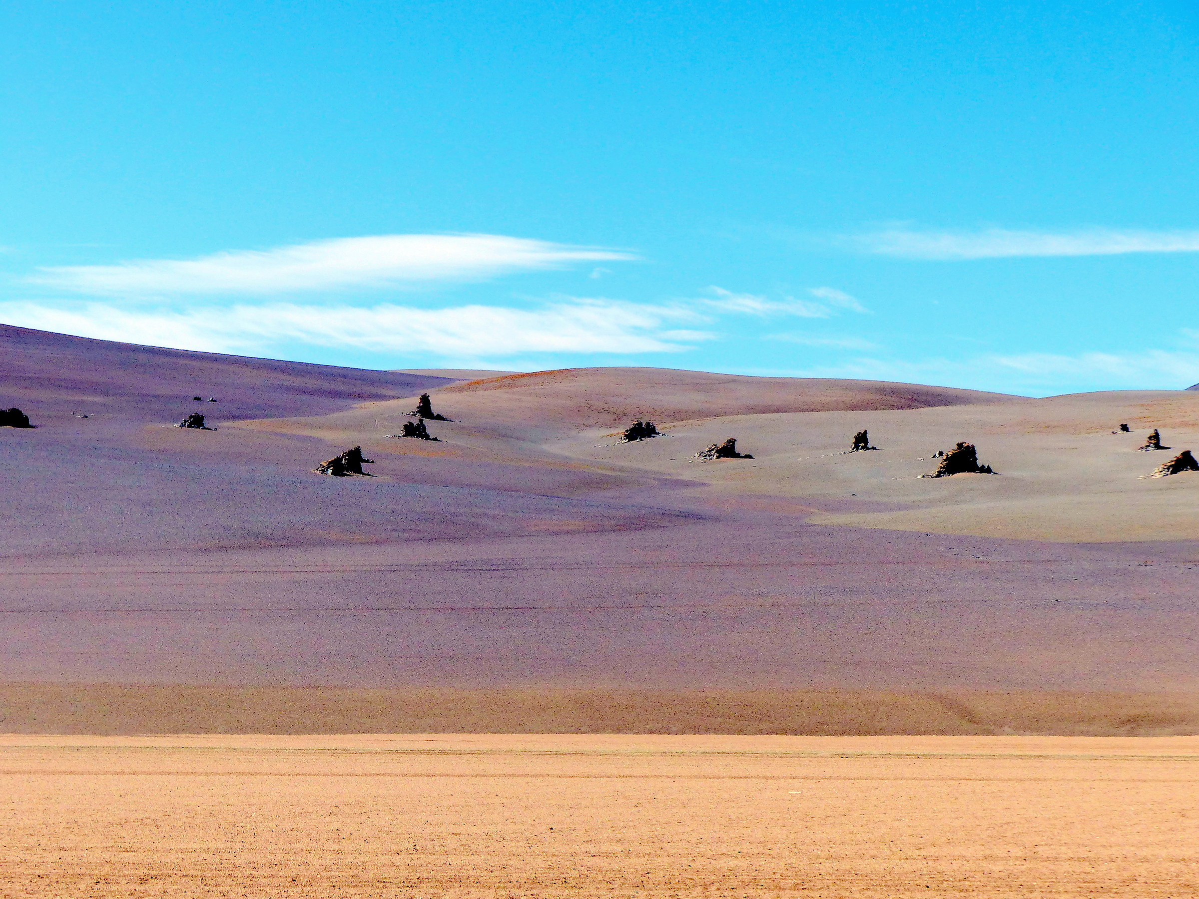 deserto salvador dalì