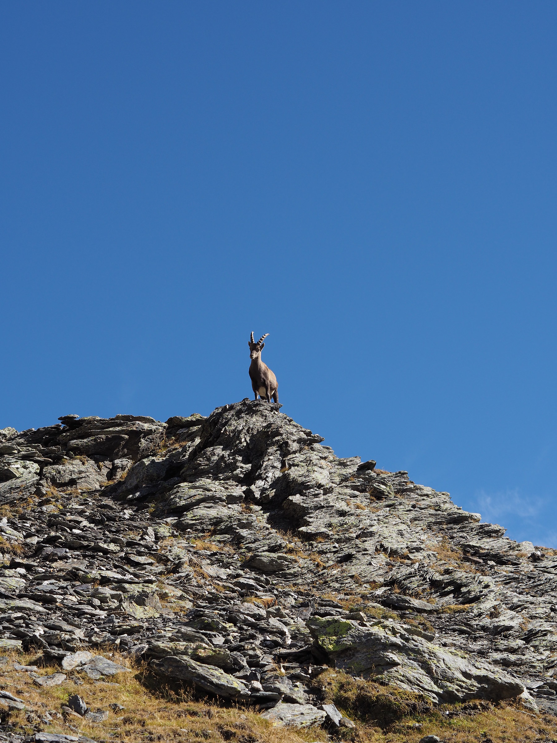 The lord of the peaks