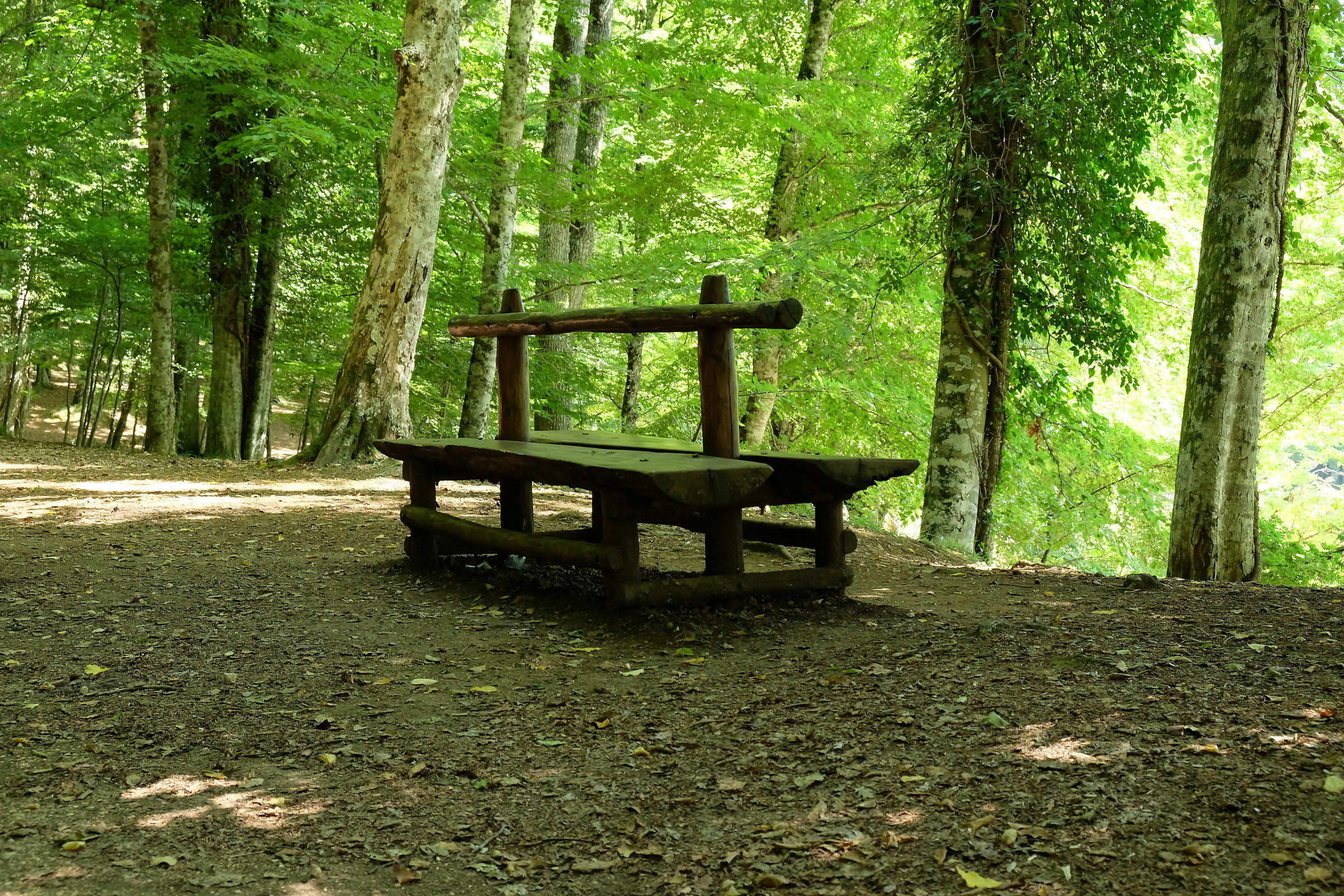 Panchina...muschiata