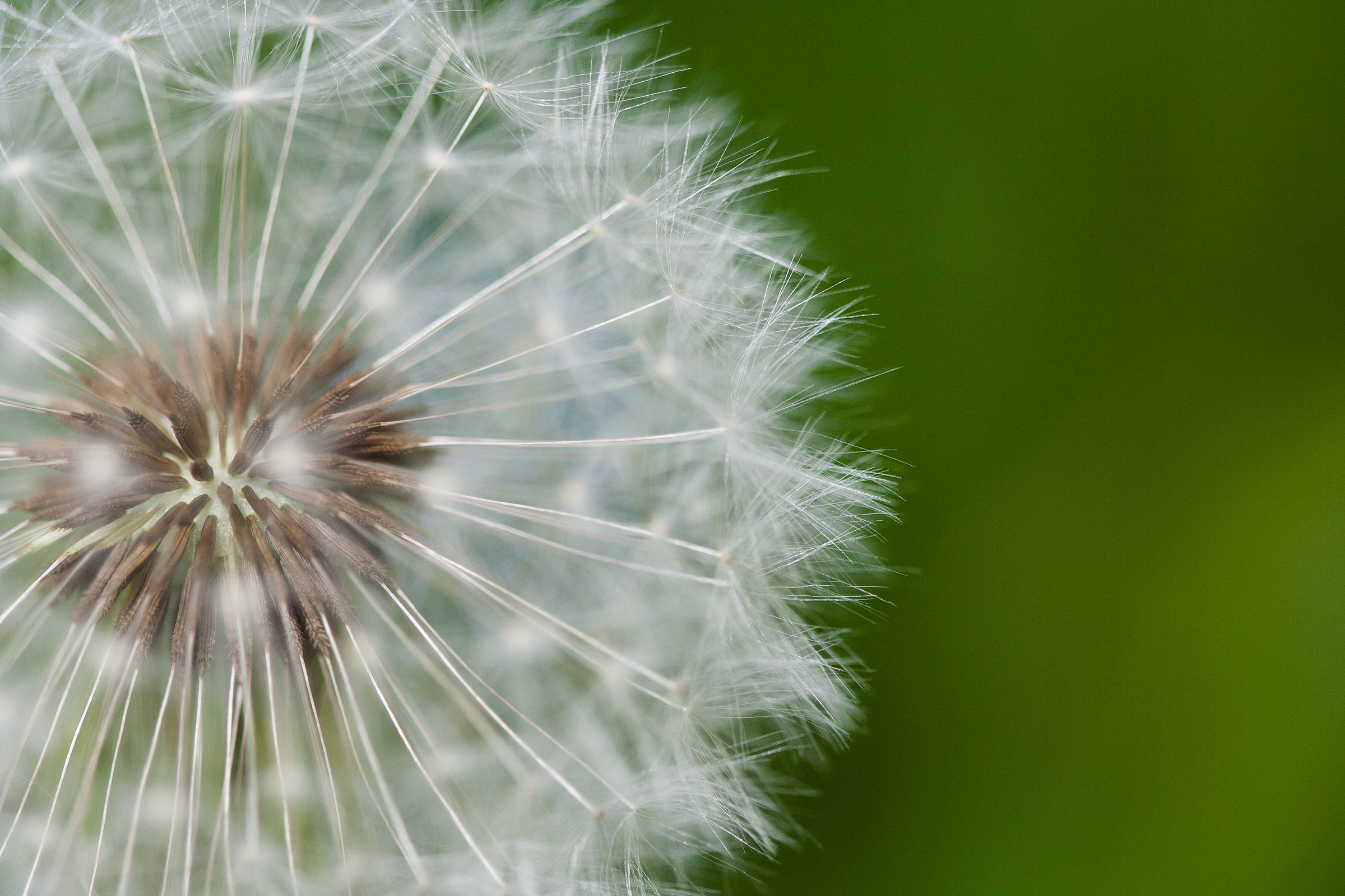 Semplicemente... soft