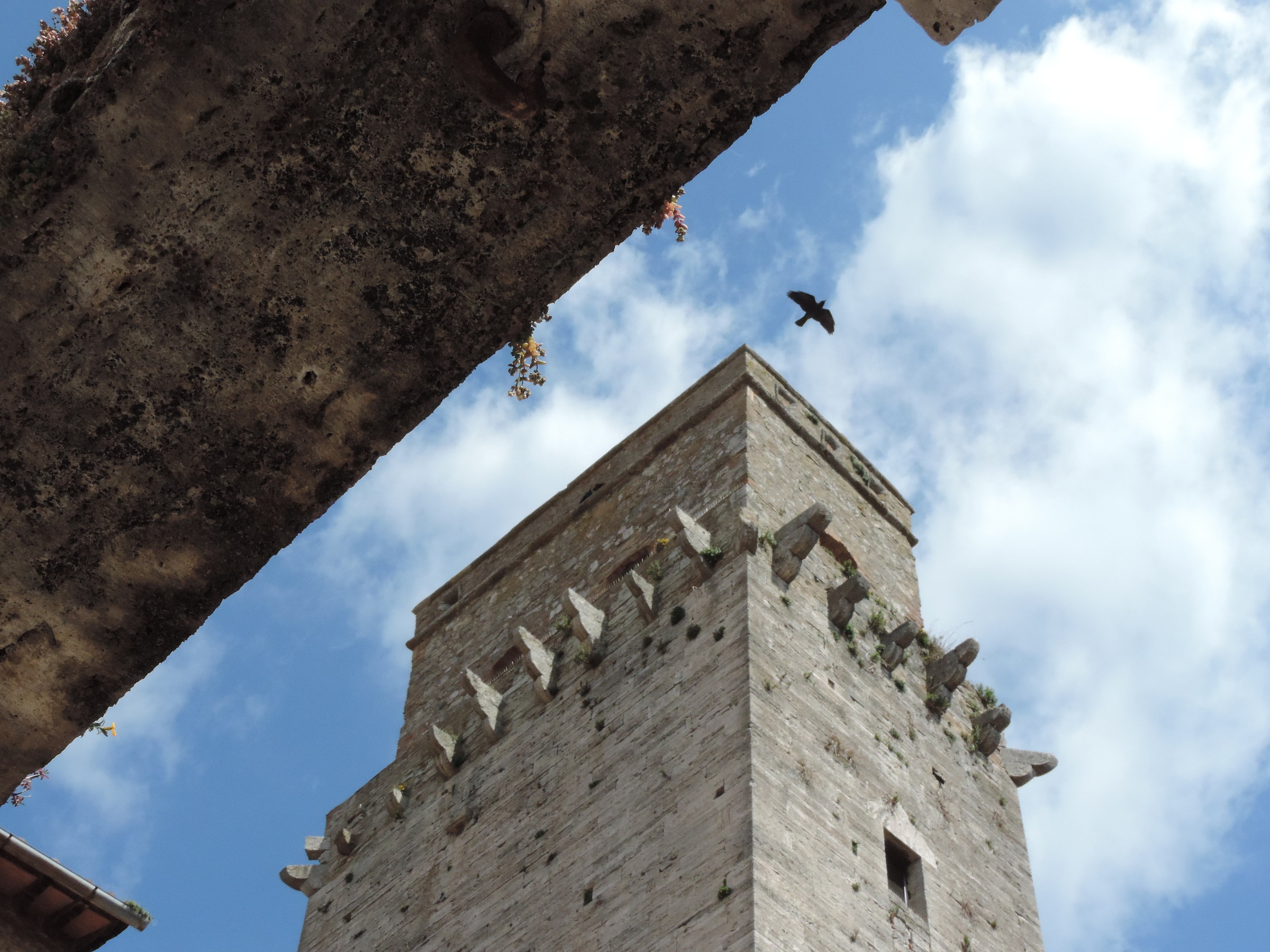 Le bellezze di San Gimignano