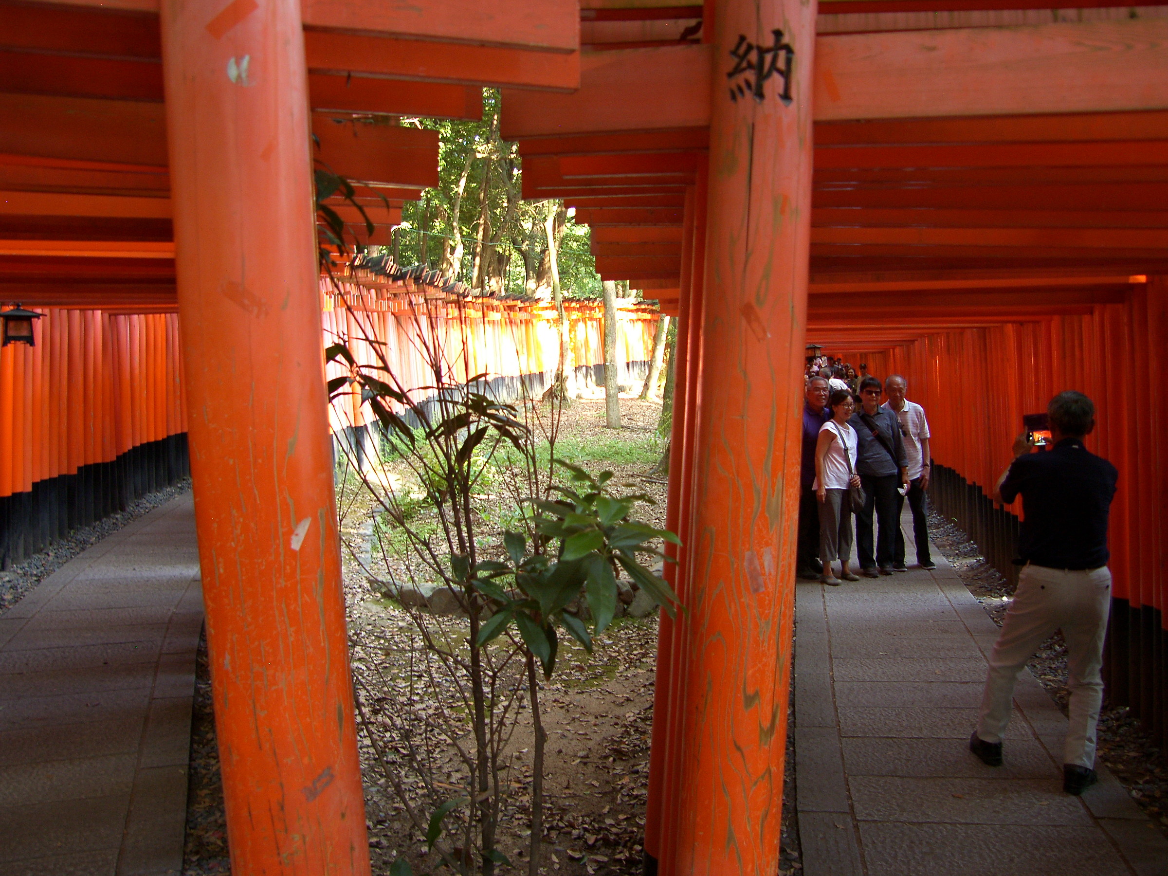 ..... Biforcazione ...