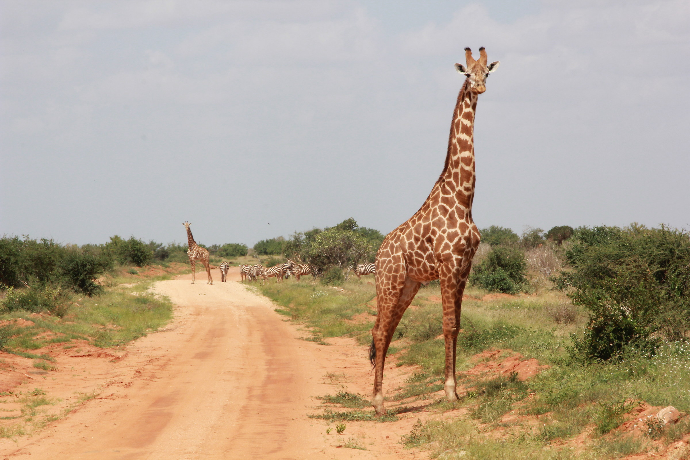 Hence we do not pass