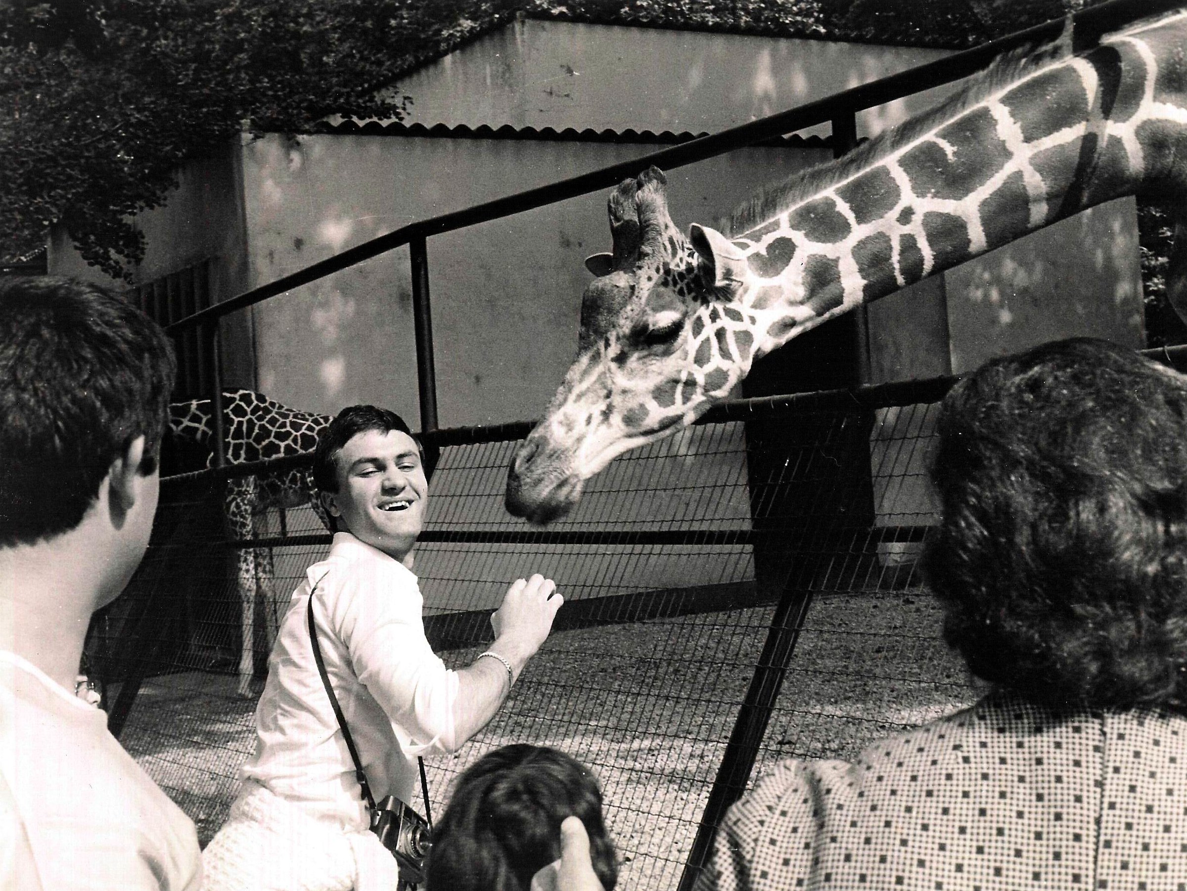 Il bacio della giraffa