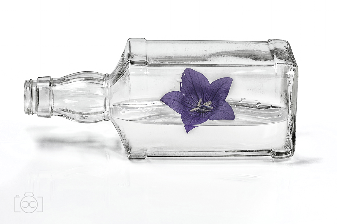 Flower Bottle