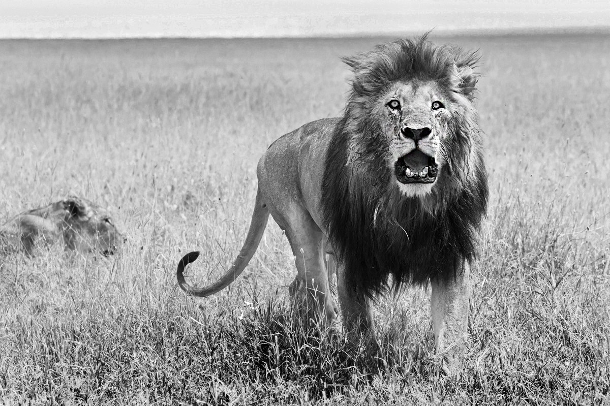 If I catch you......