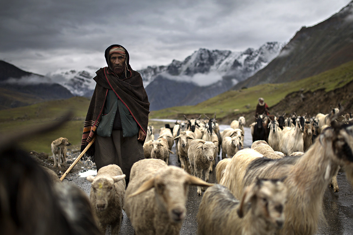 pastors of kashmir