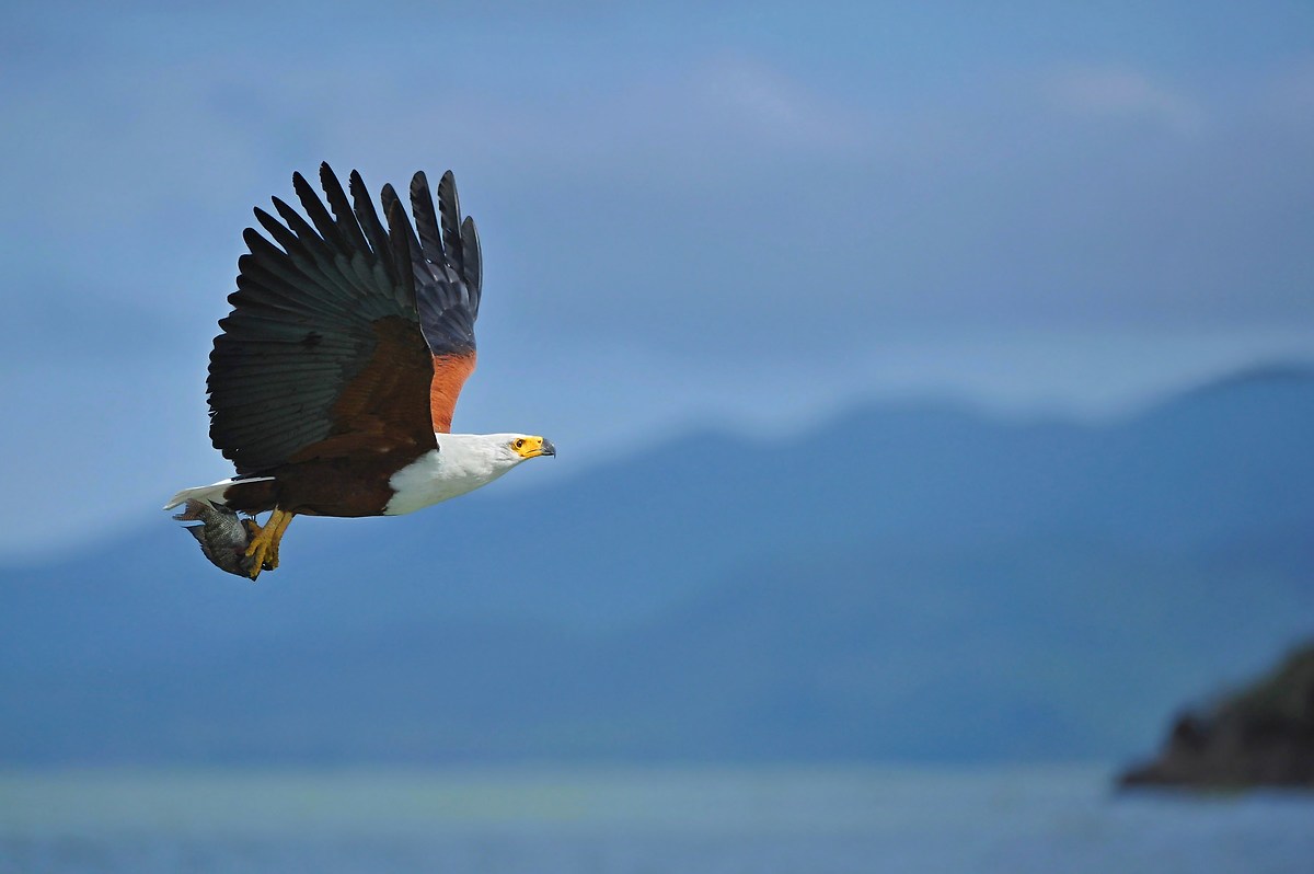 In volo sul Lago Baringo