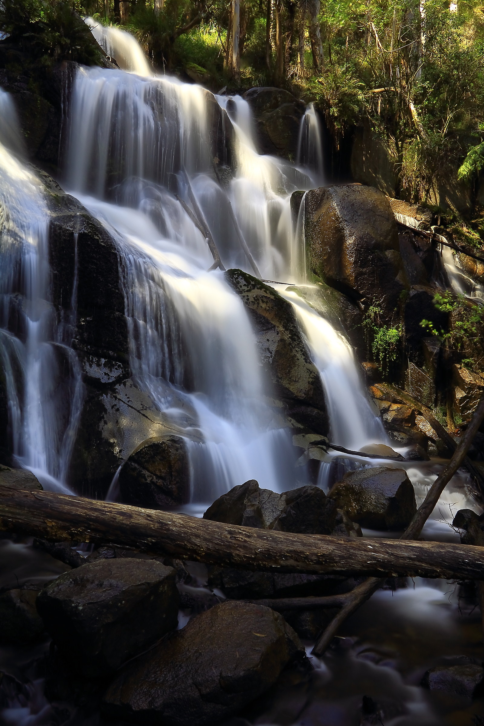 Tooronga Falls - South Eastern Victoria