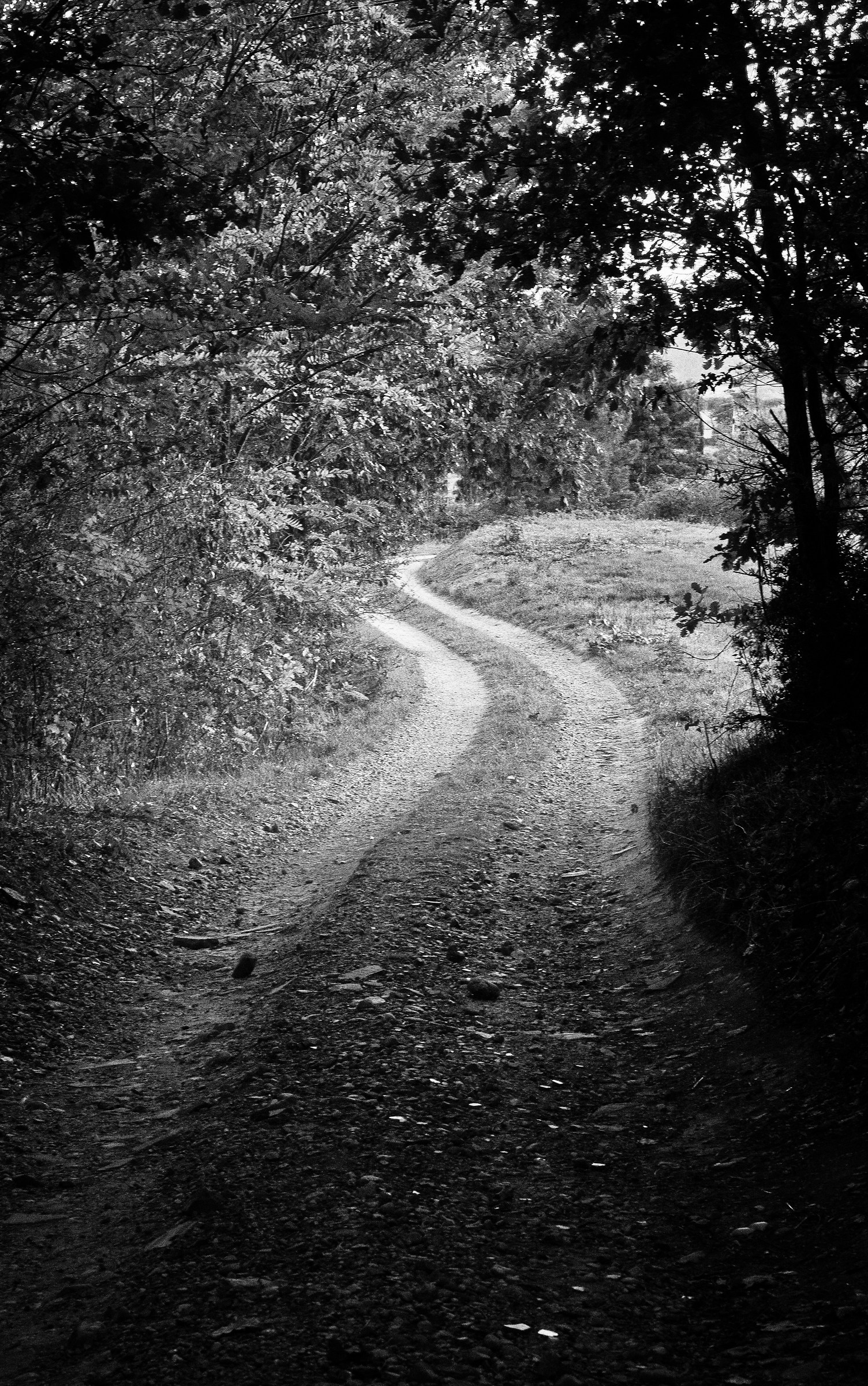 Views of the countryside b & w