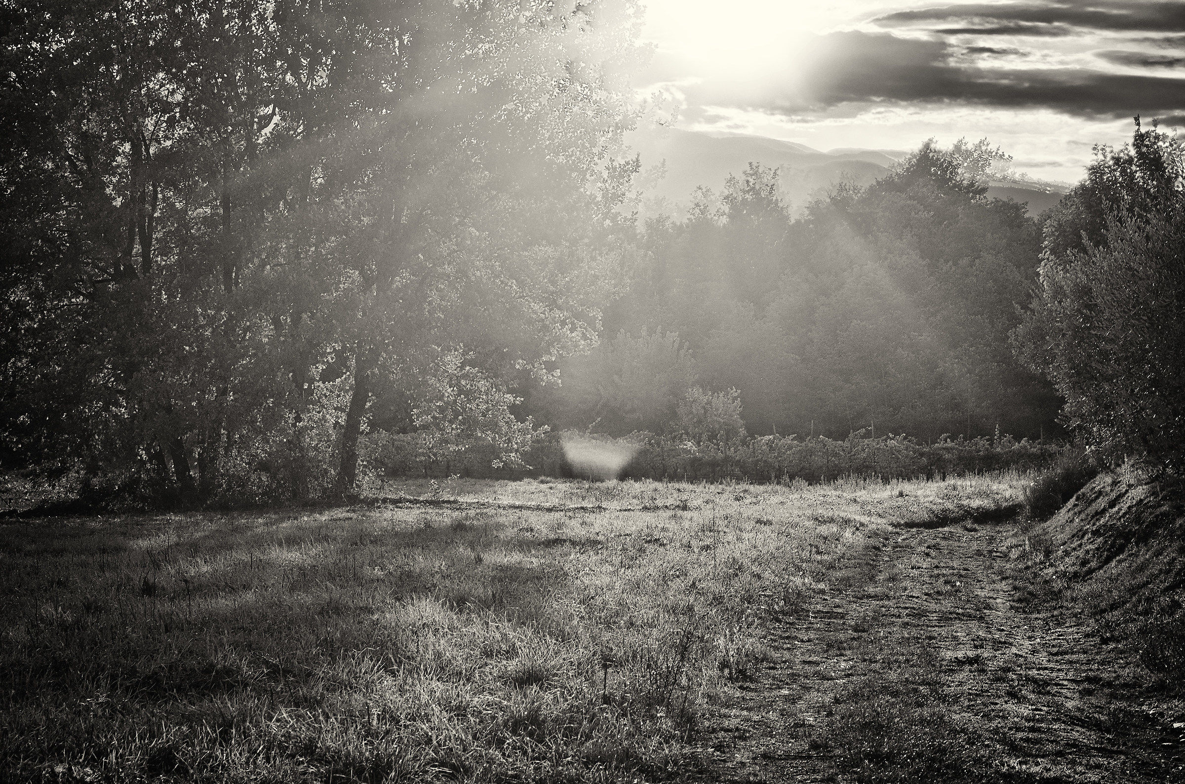 Views of the countryside b & w 2