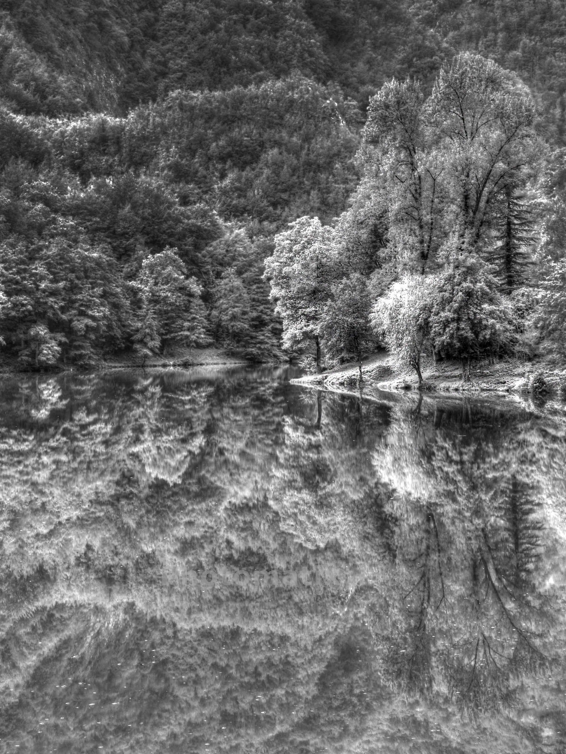 ...Reflections on the lake...