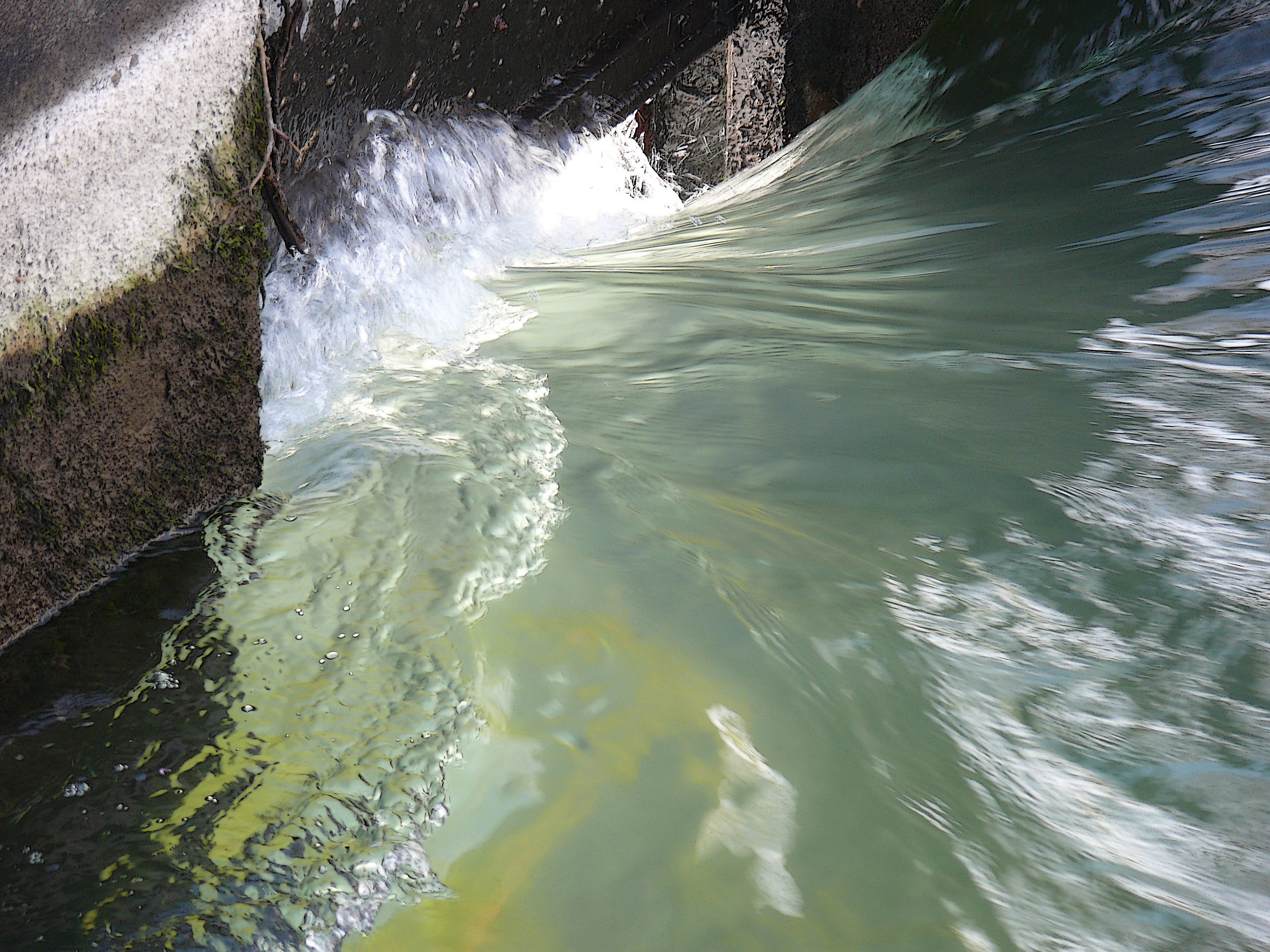 Le Forme dell'Acqua 4