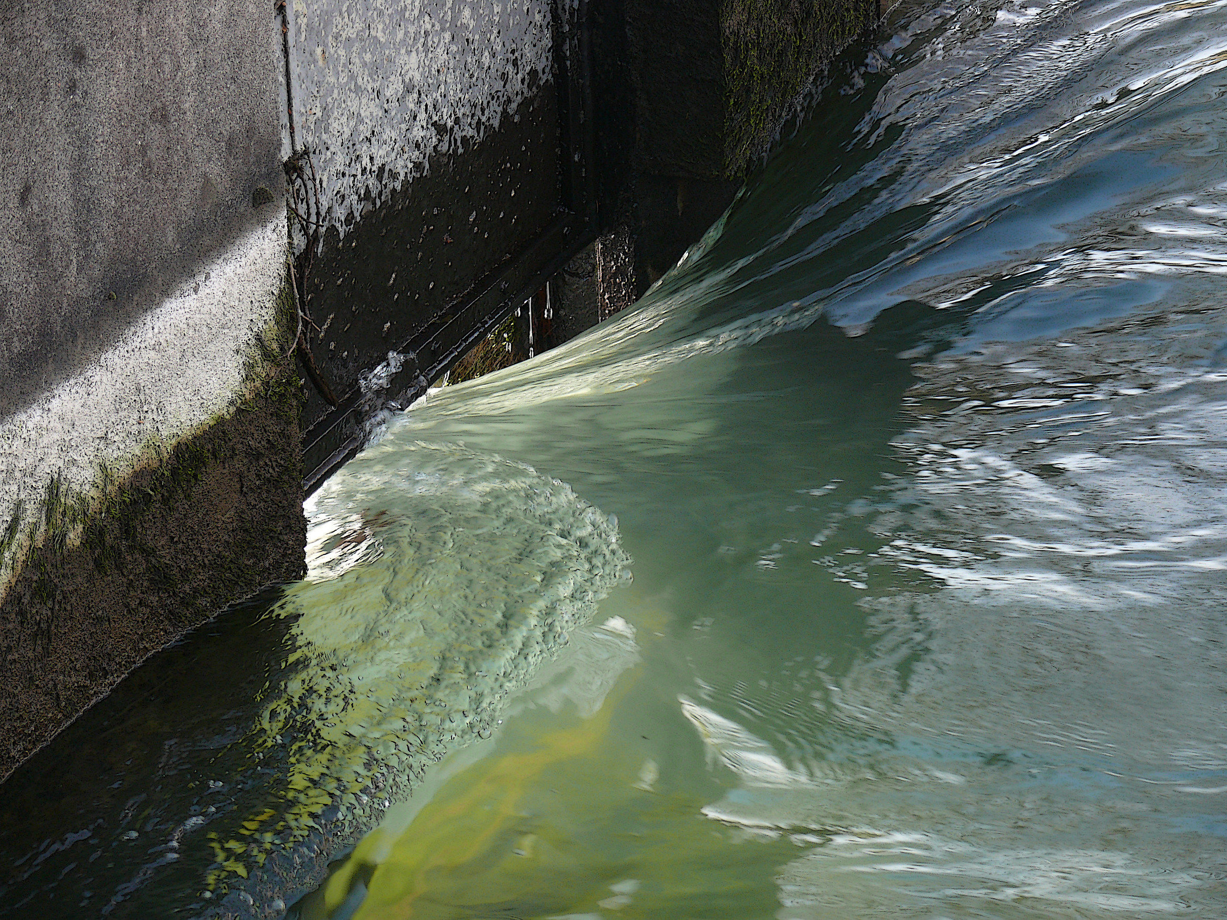 Le Forme dell'Acqua 7