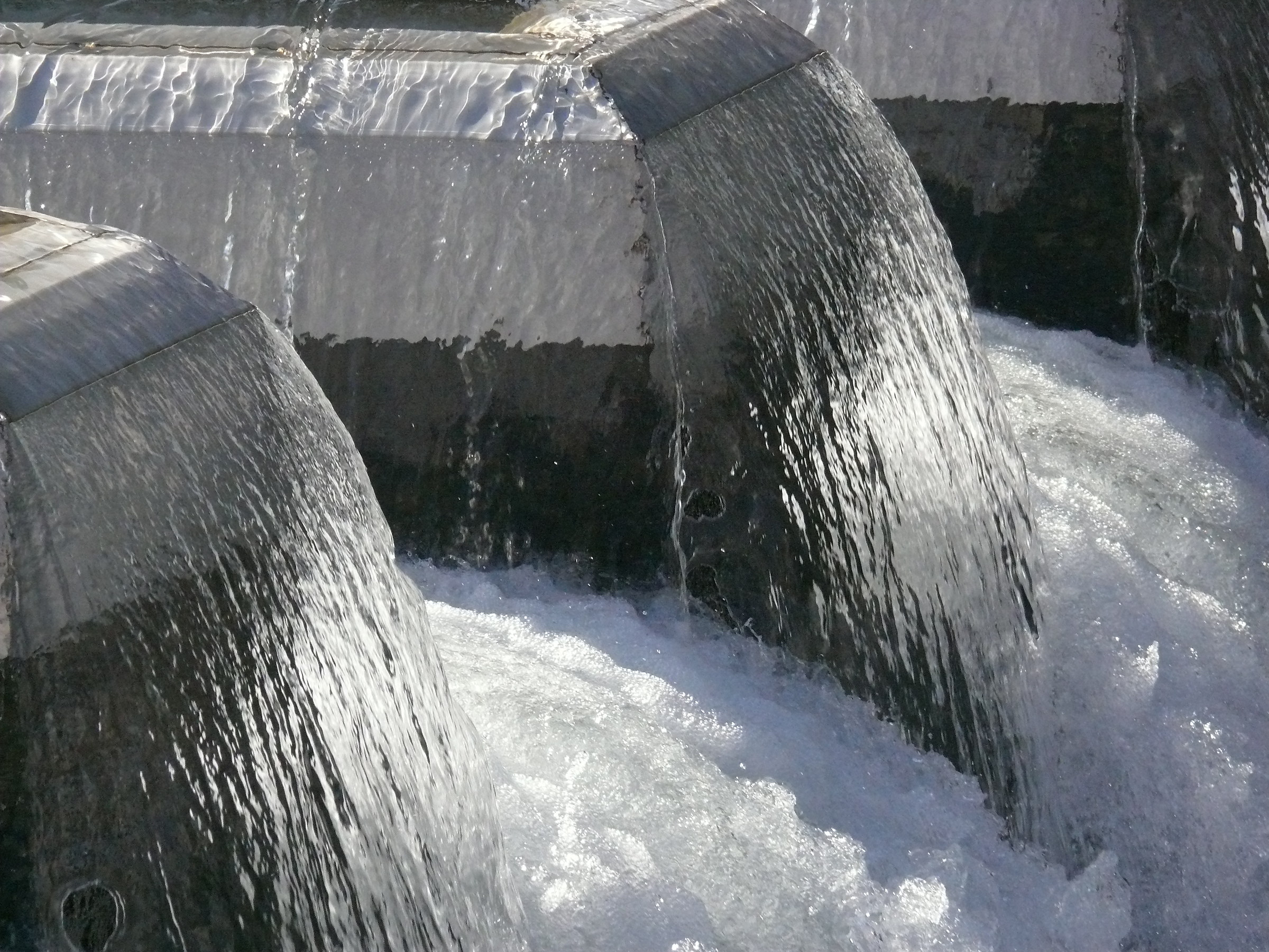 Le Forme dell'Acqua 8