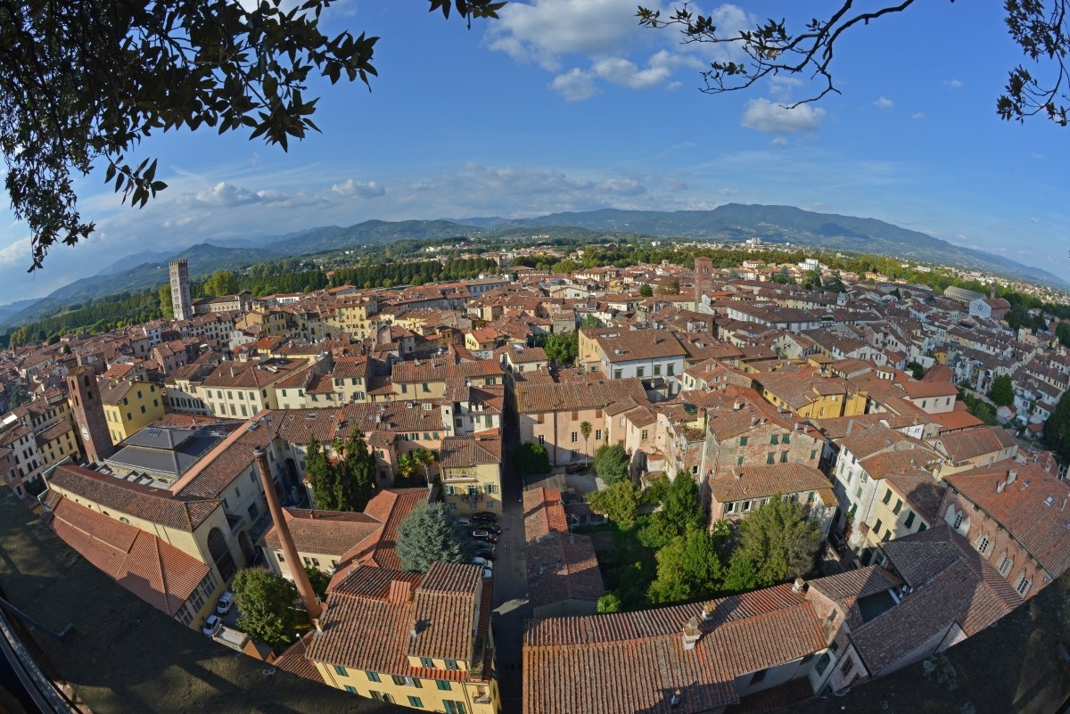 Lucca from the tower of Guinigi
