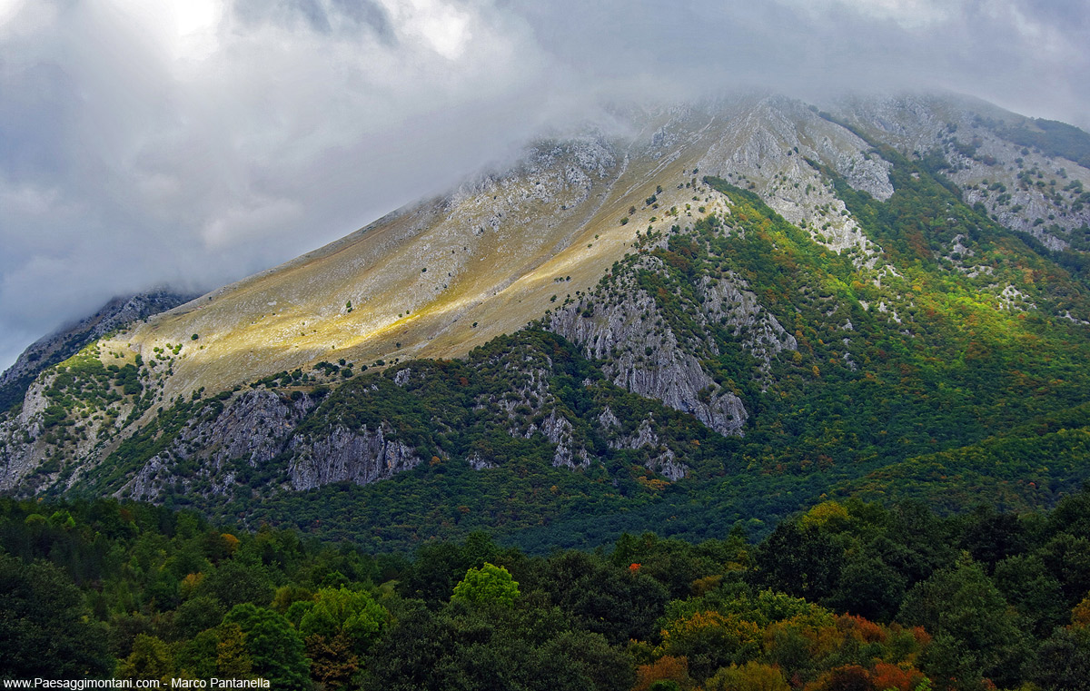 Monte Marsicano