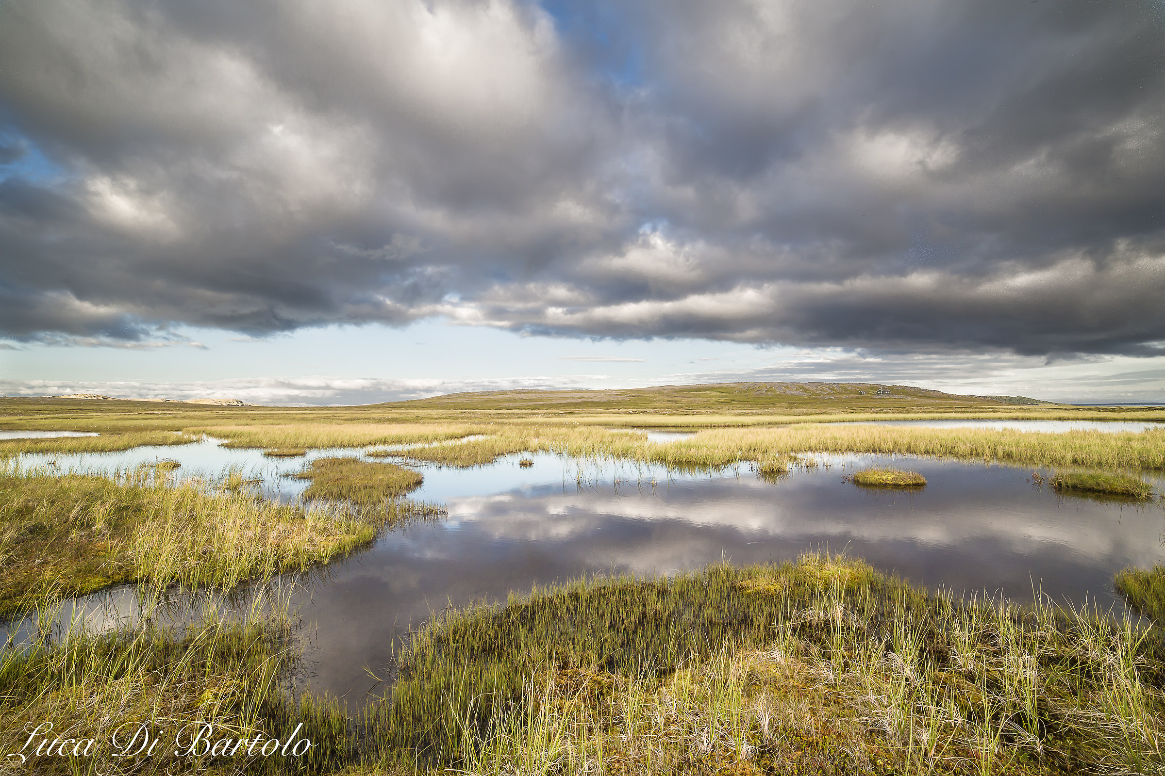 Norwegian marshes