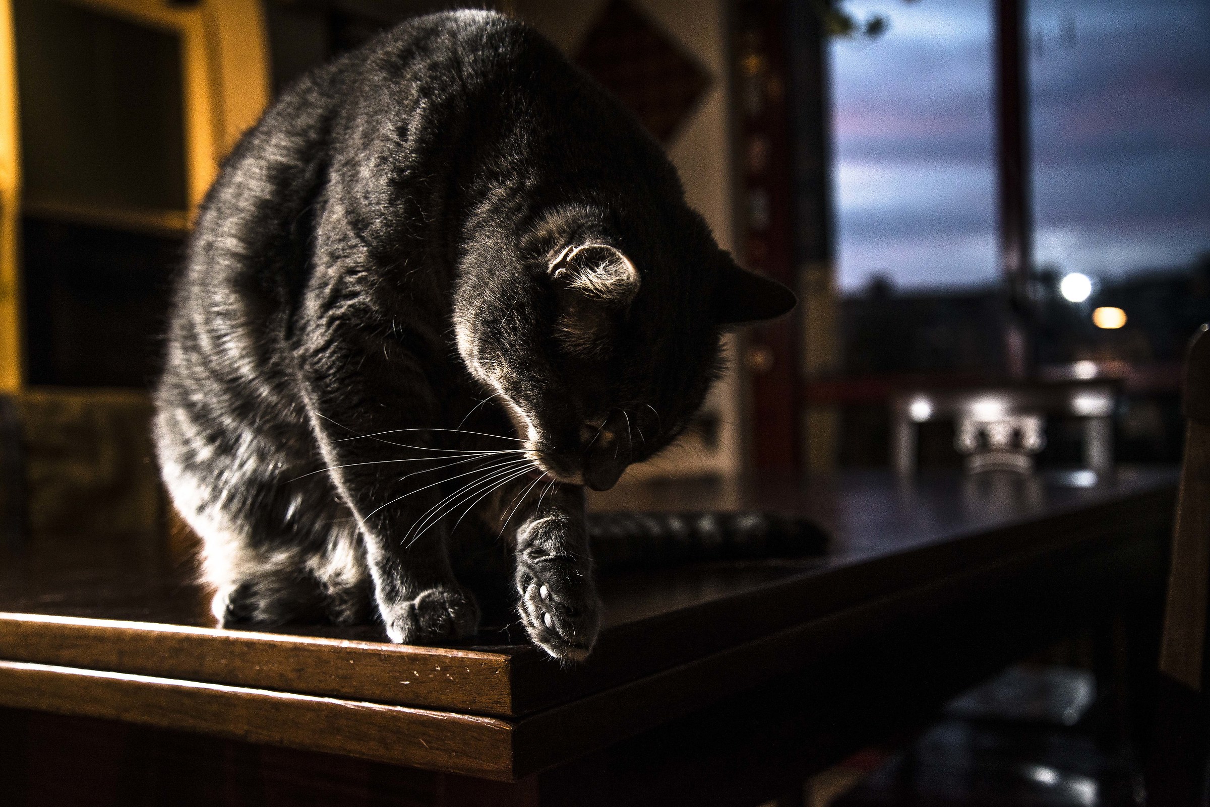 Layla in a remote flash