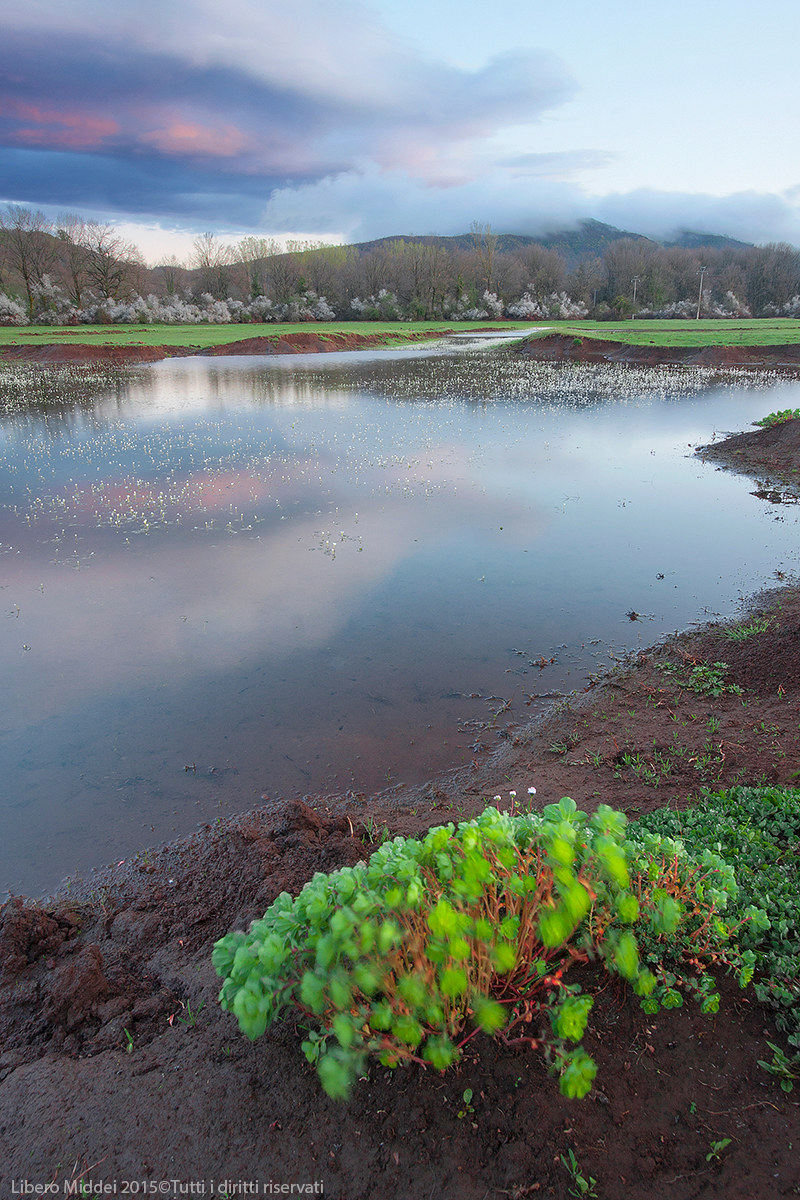 Pantano della Doganella