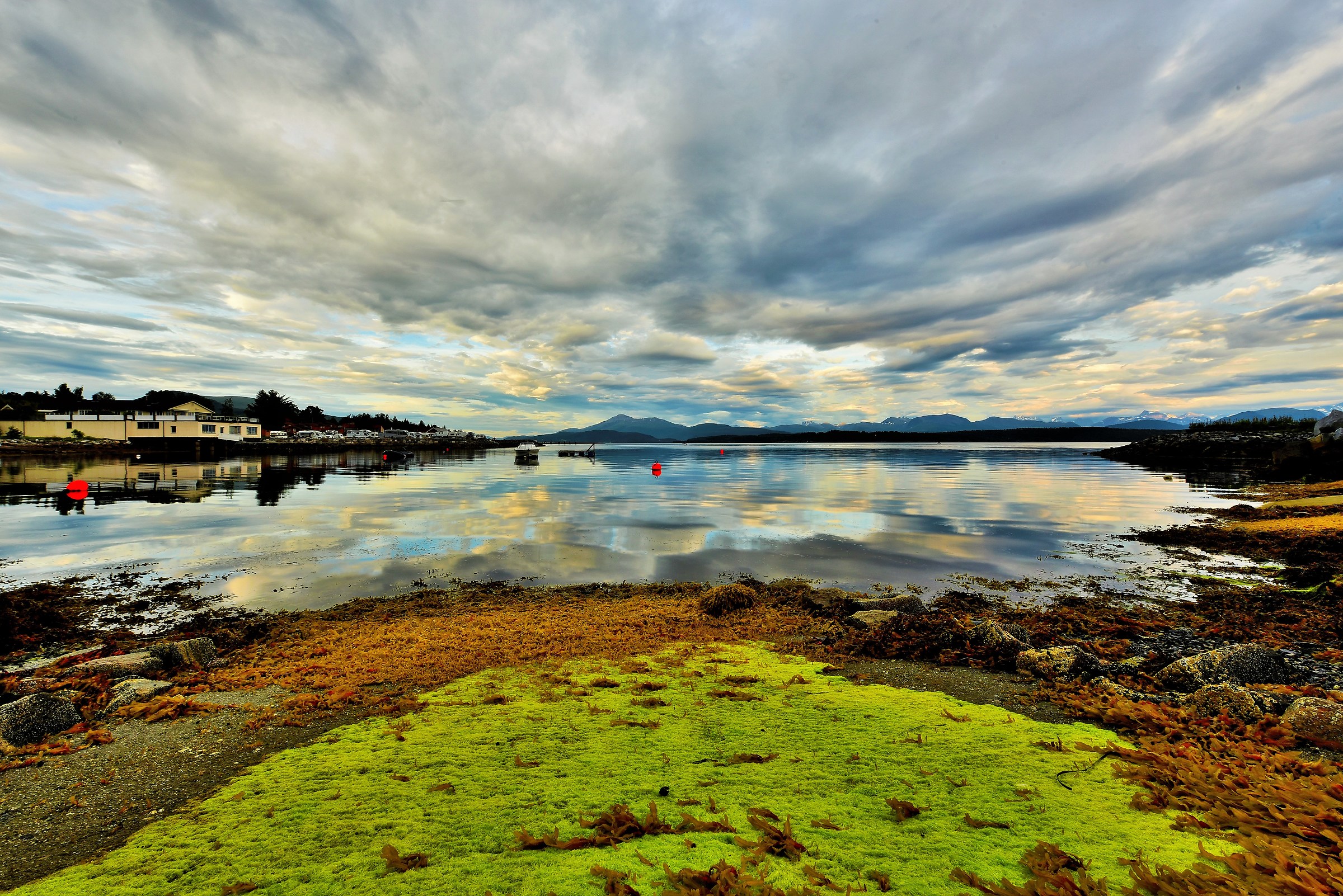 alghe  e cielo...da fiaba
