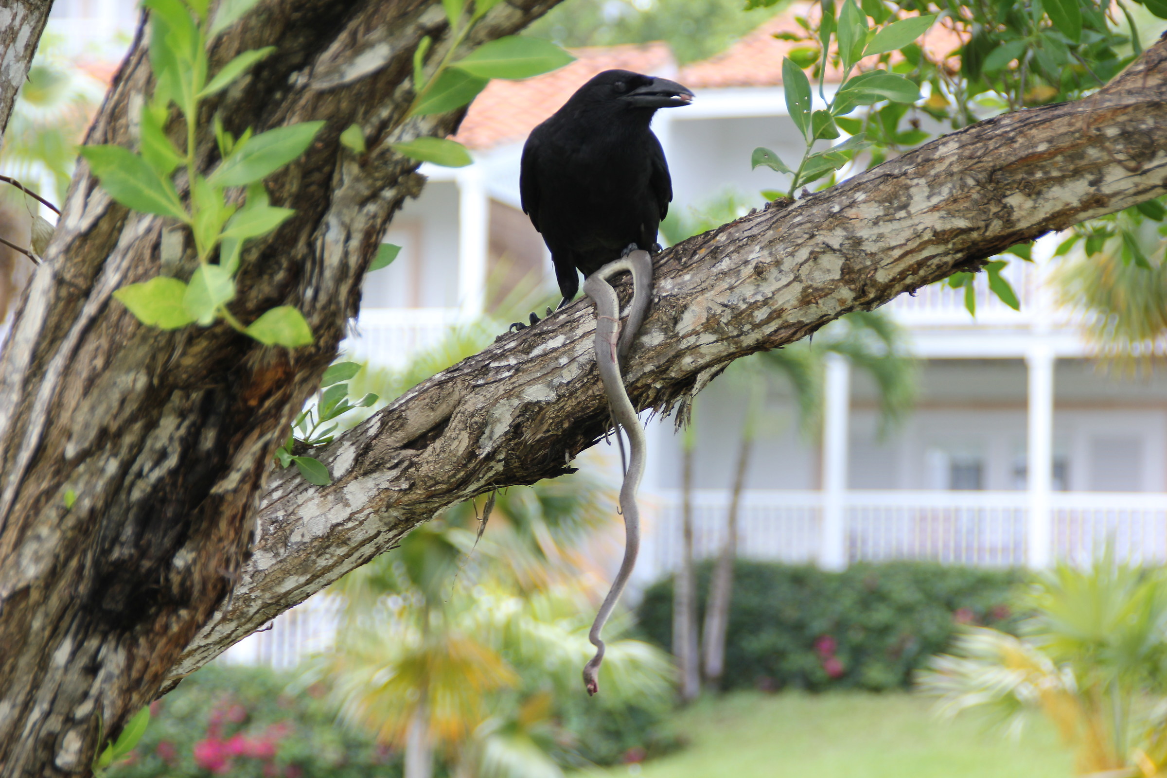 The RE of Turks & Caicos