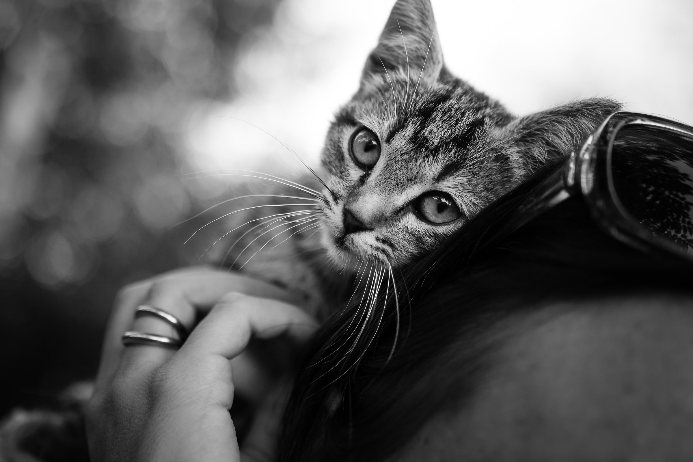 Please take me home!