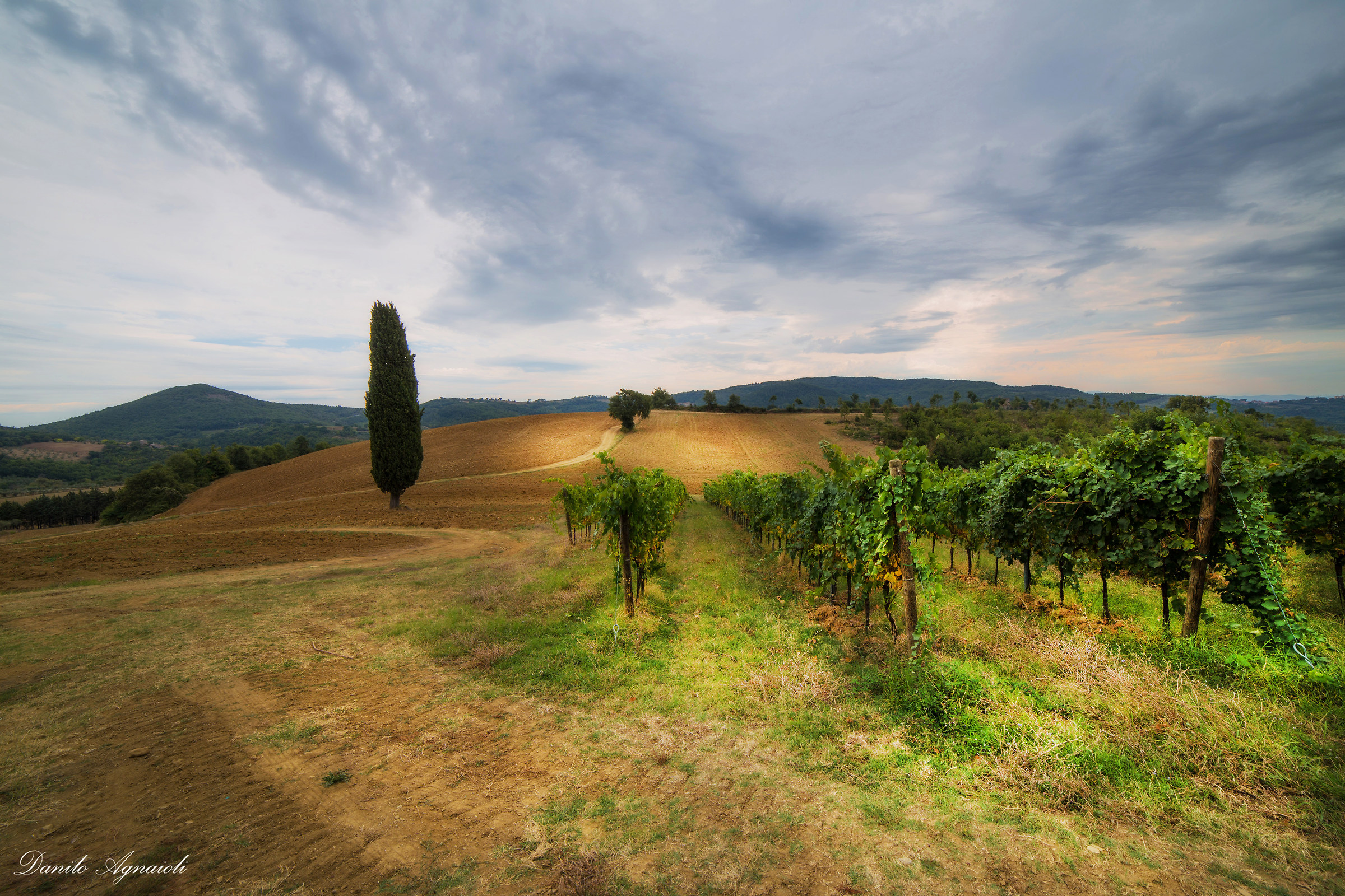 Strani giorni d'autunno.