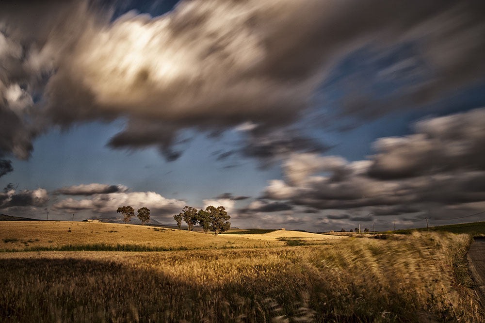 Trees and clouds