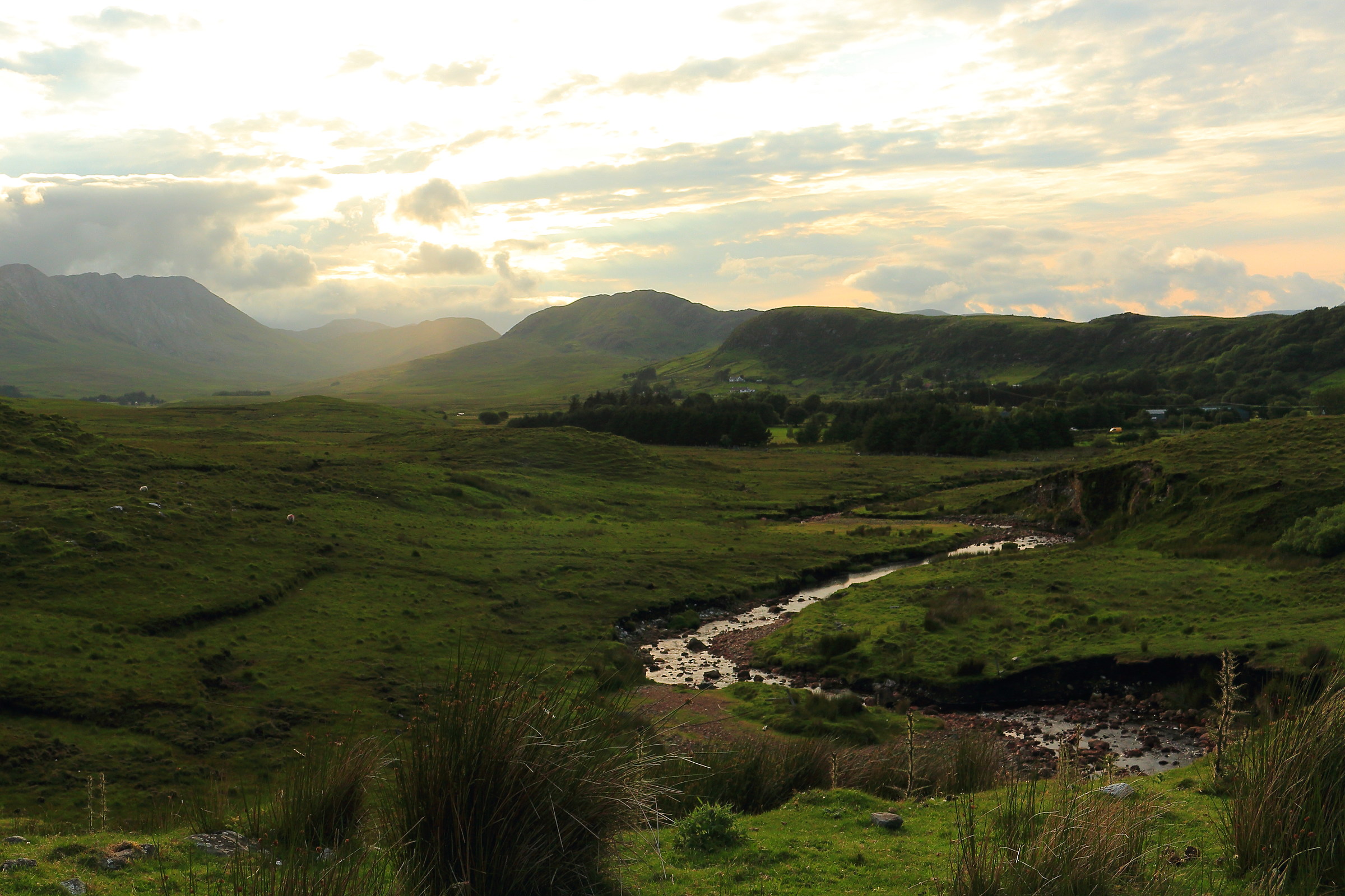 Countryside outside Galway