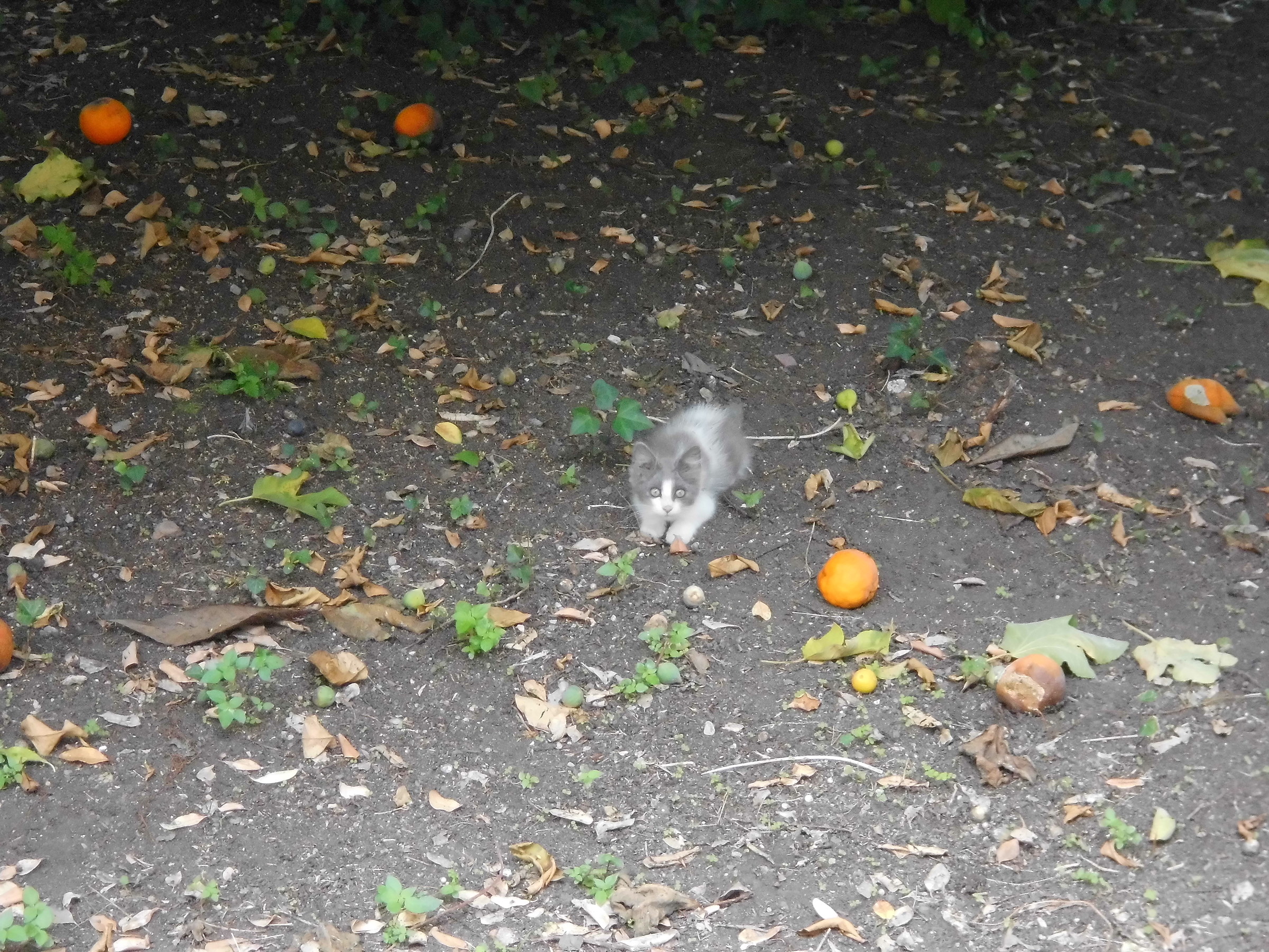 Shit! You caught me!