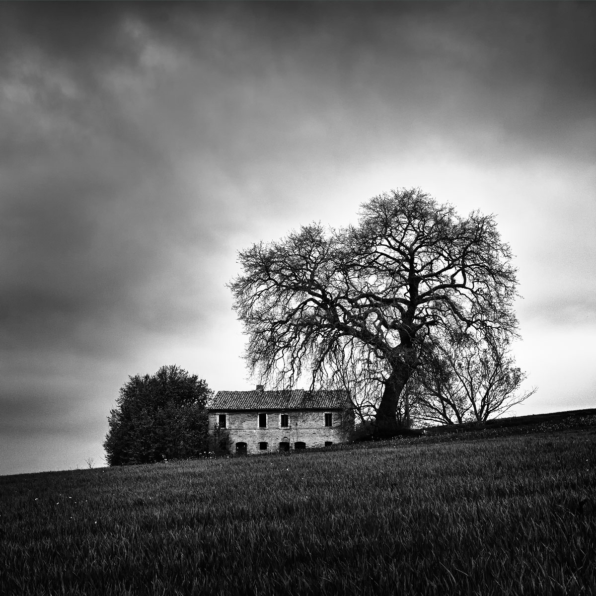 Il gigante...e la casina
