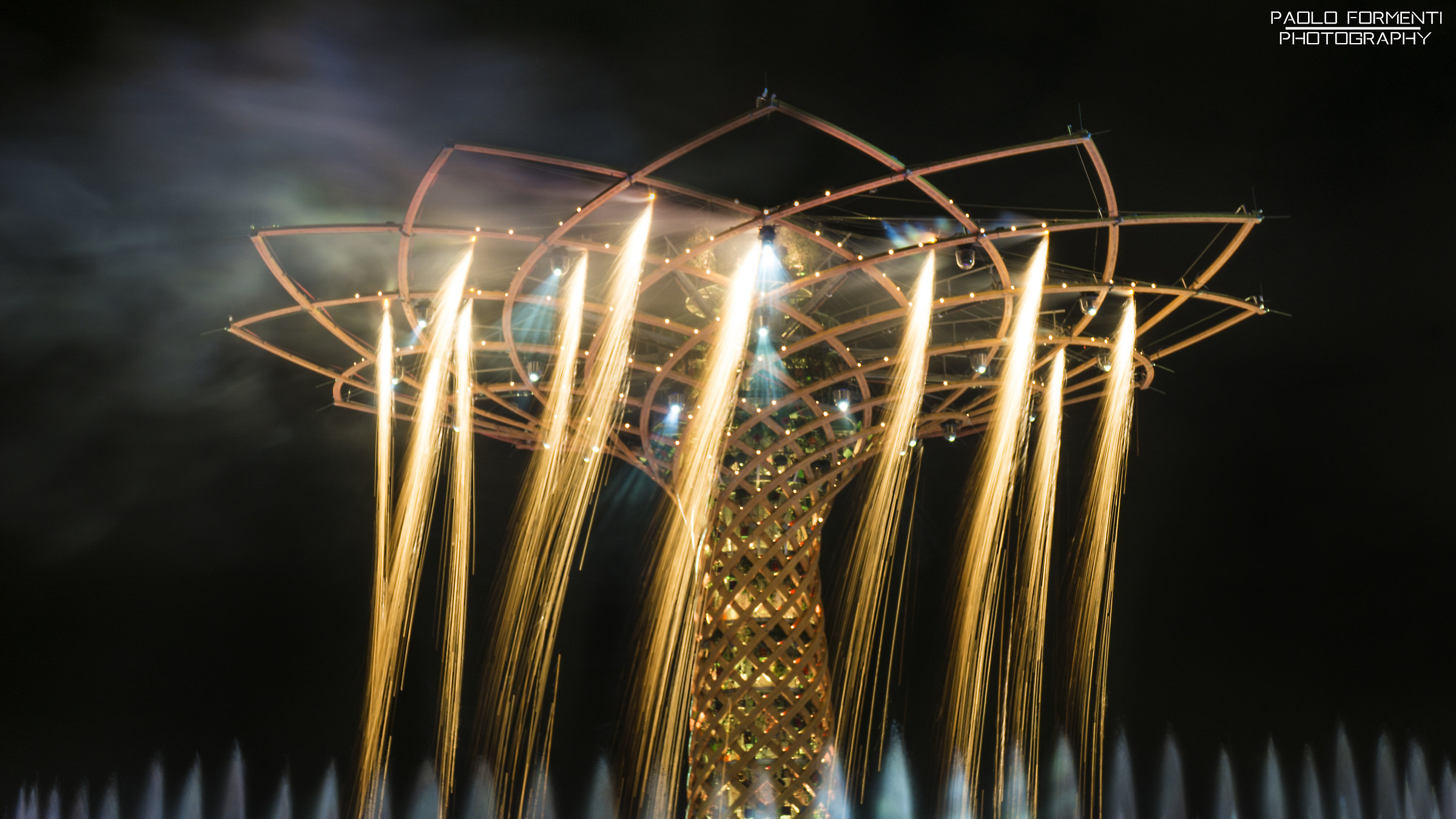 L'arbero della vita sta decollando