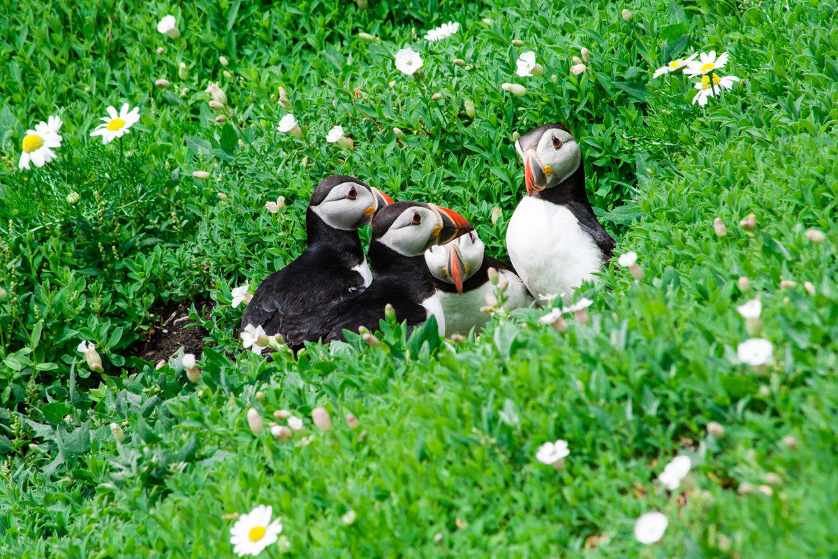 Riunione condominiale