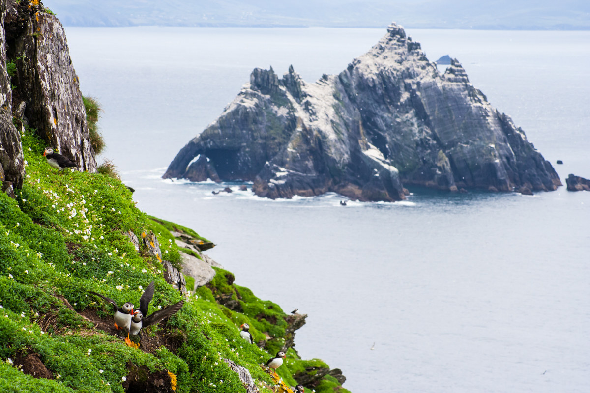 Panorama Skellig Islands