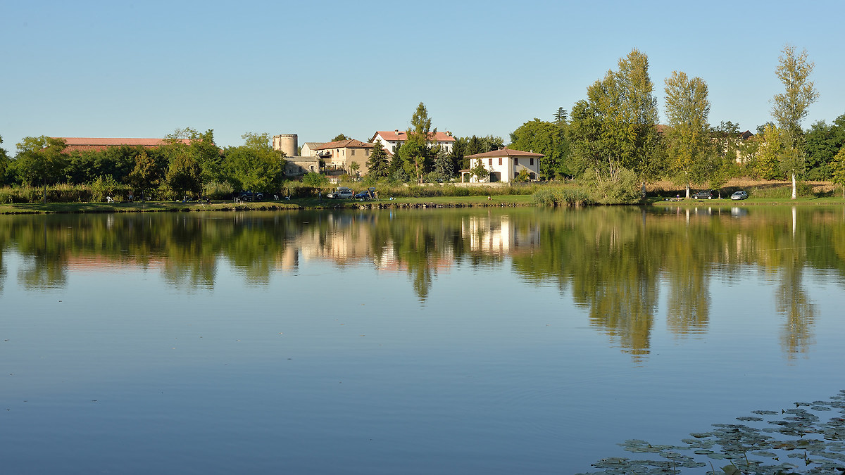 Pond Oscasale
