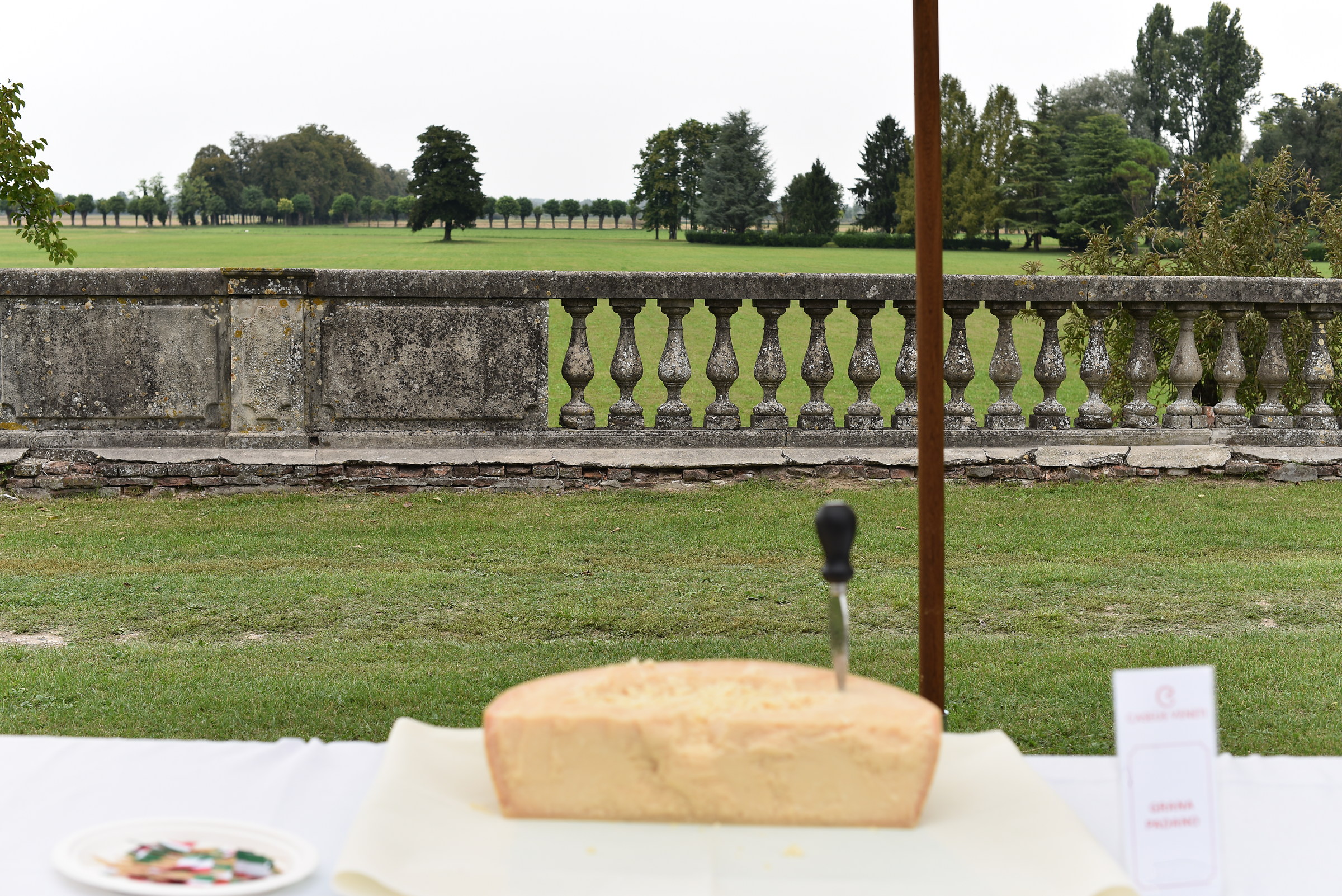 Gradient grana padano