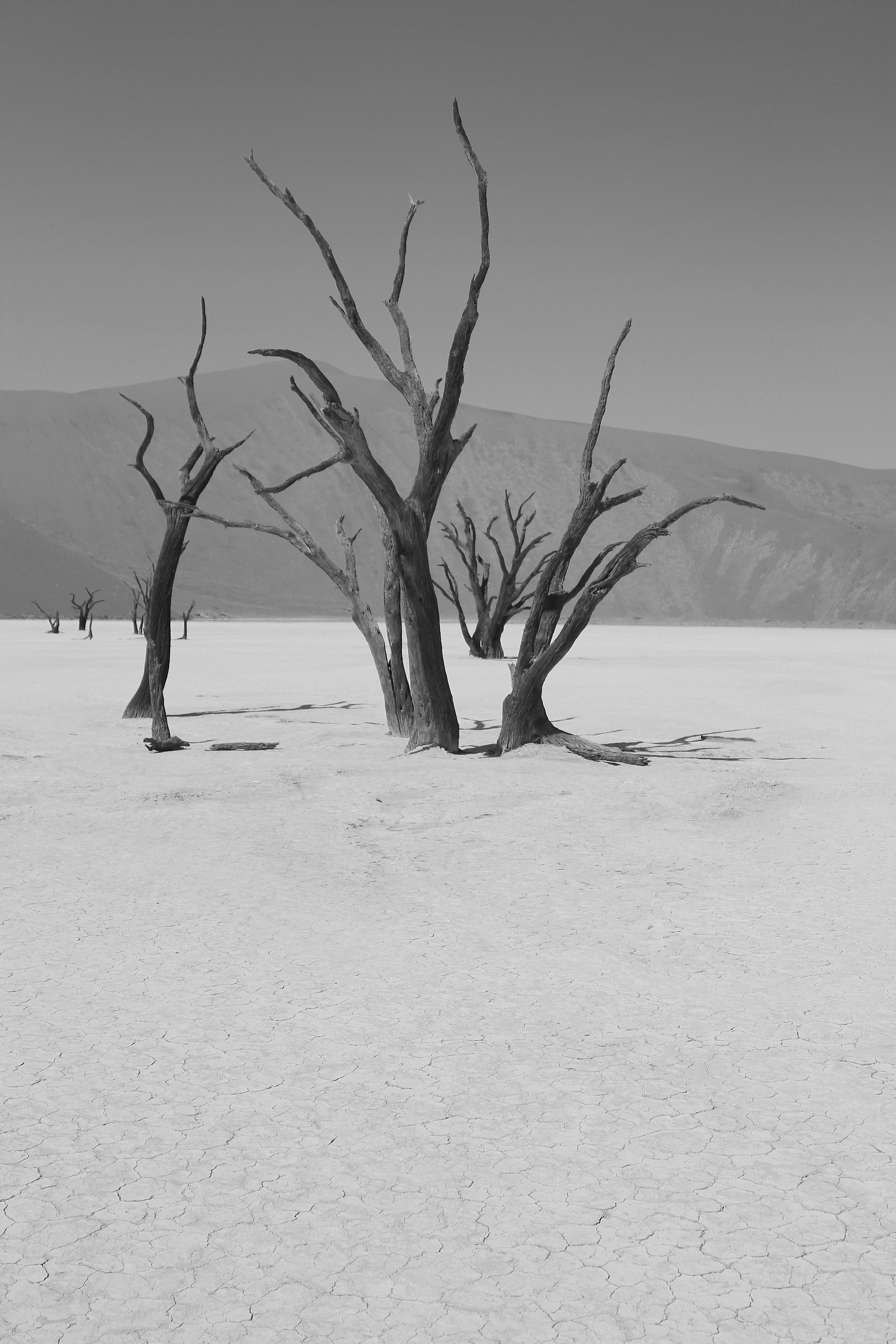dead vlei