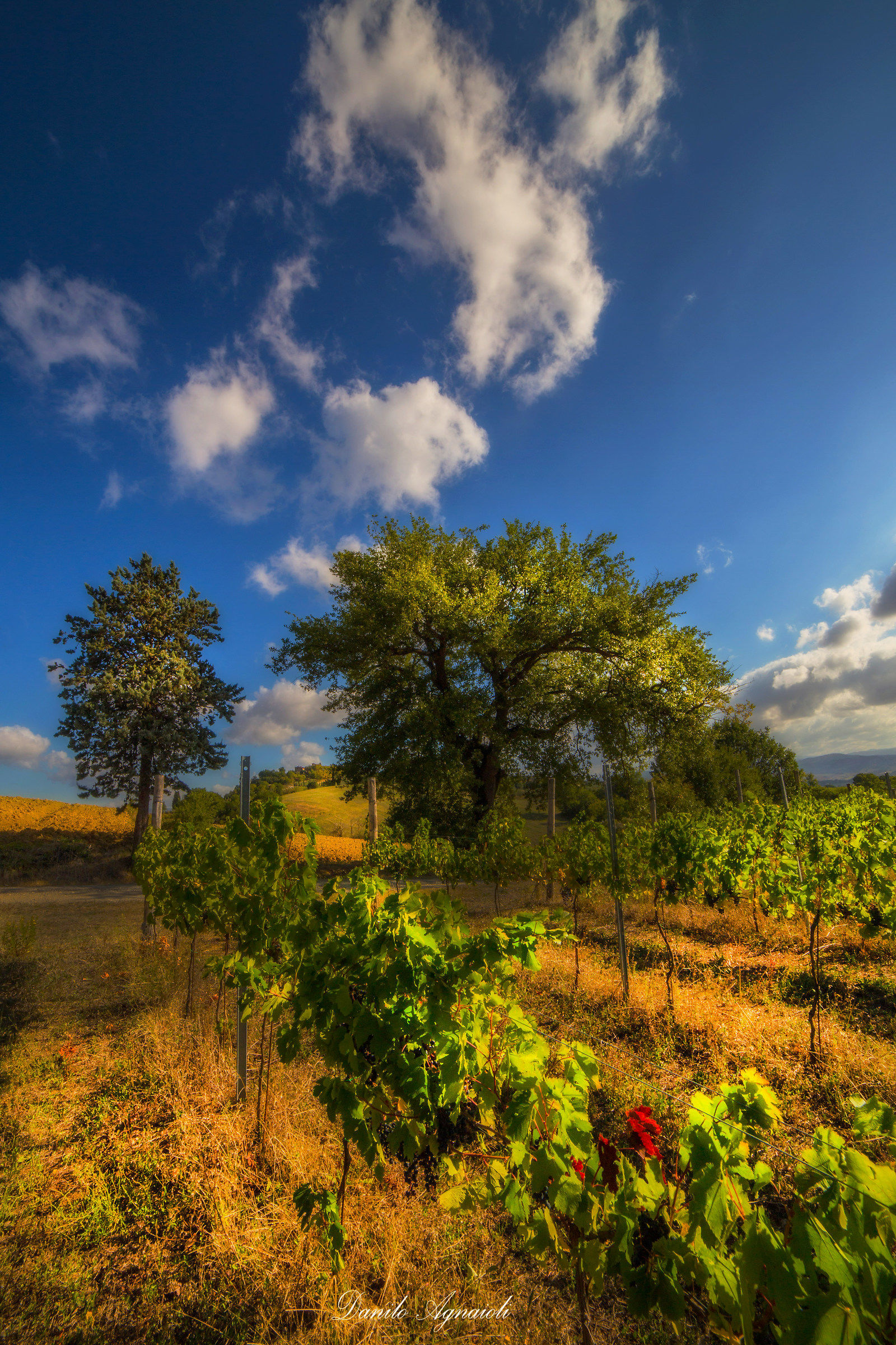 Quel sereno variabile !