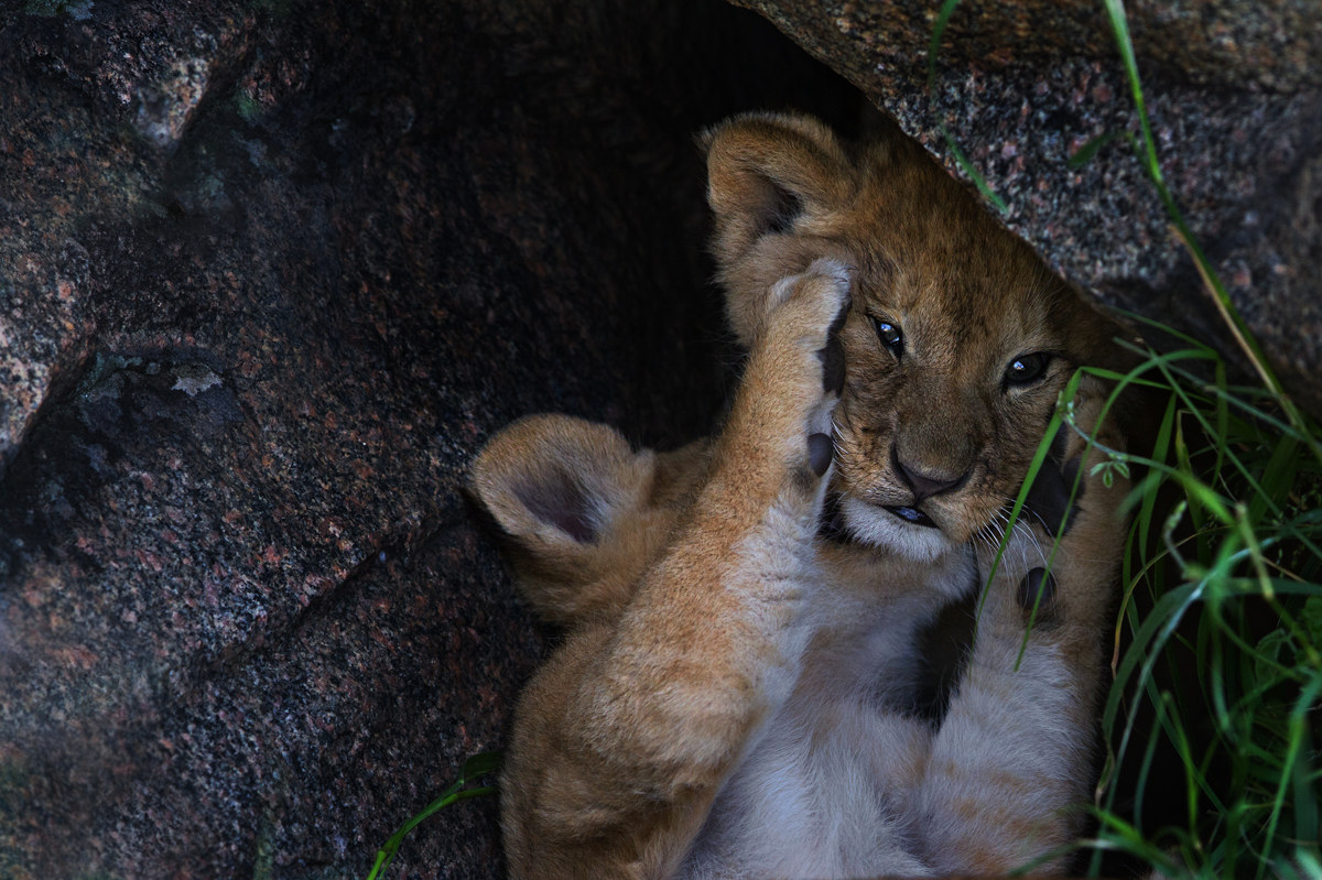alla scoperta del Mondo...