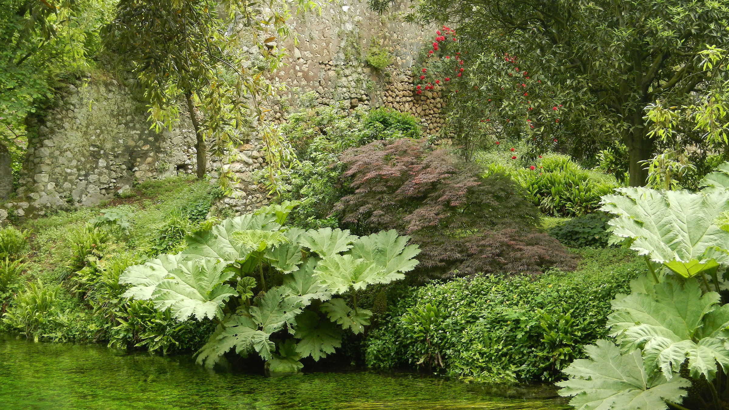 Oasis of Ninfa 2 (lt)