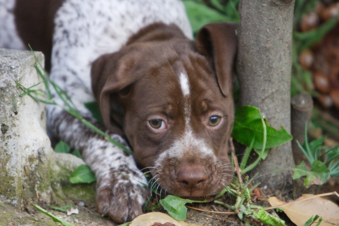 I'm thinking about.......relax.