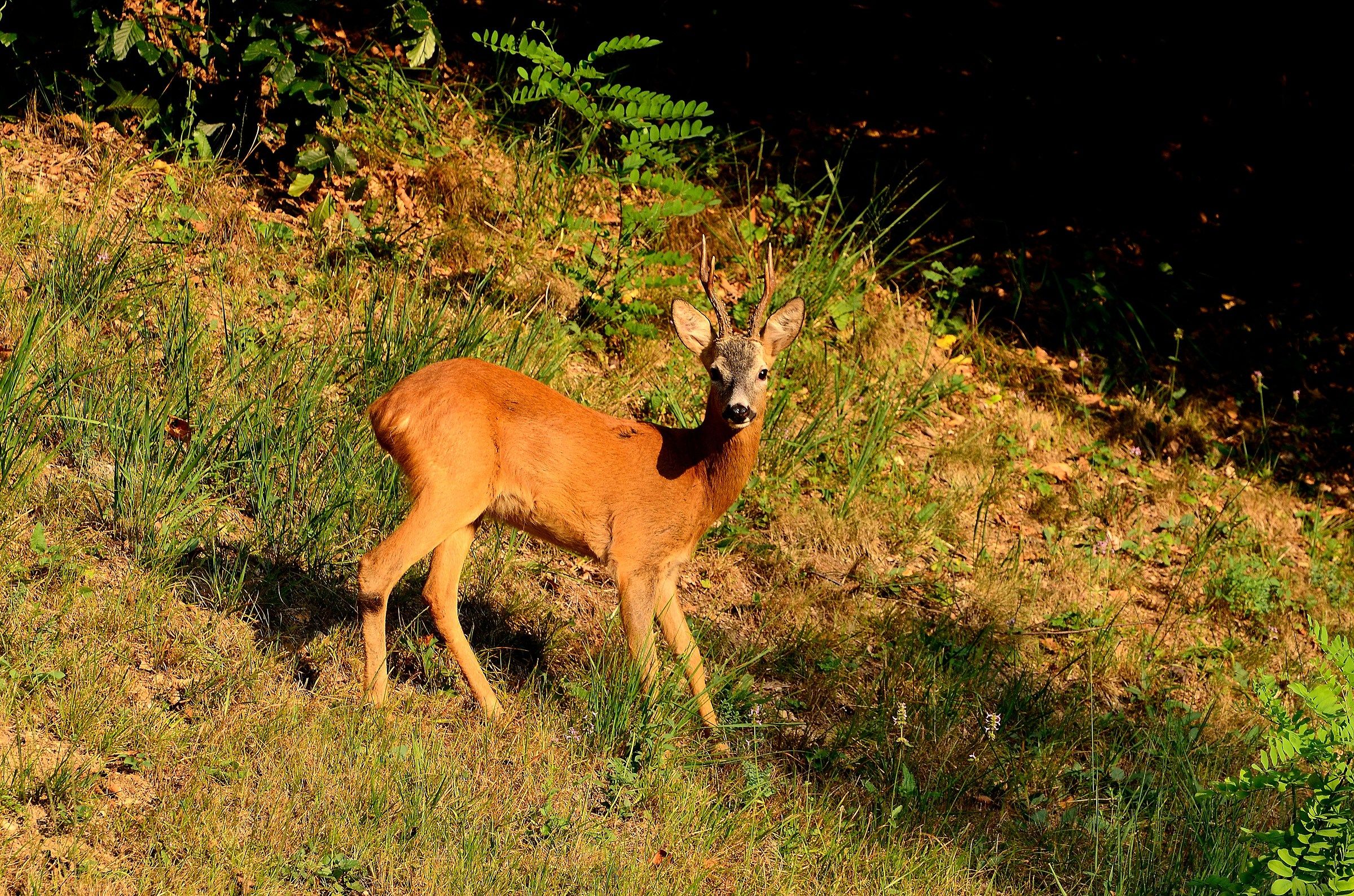vista dal terrazzo di casa