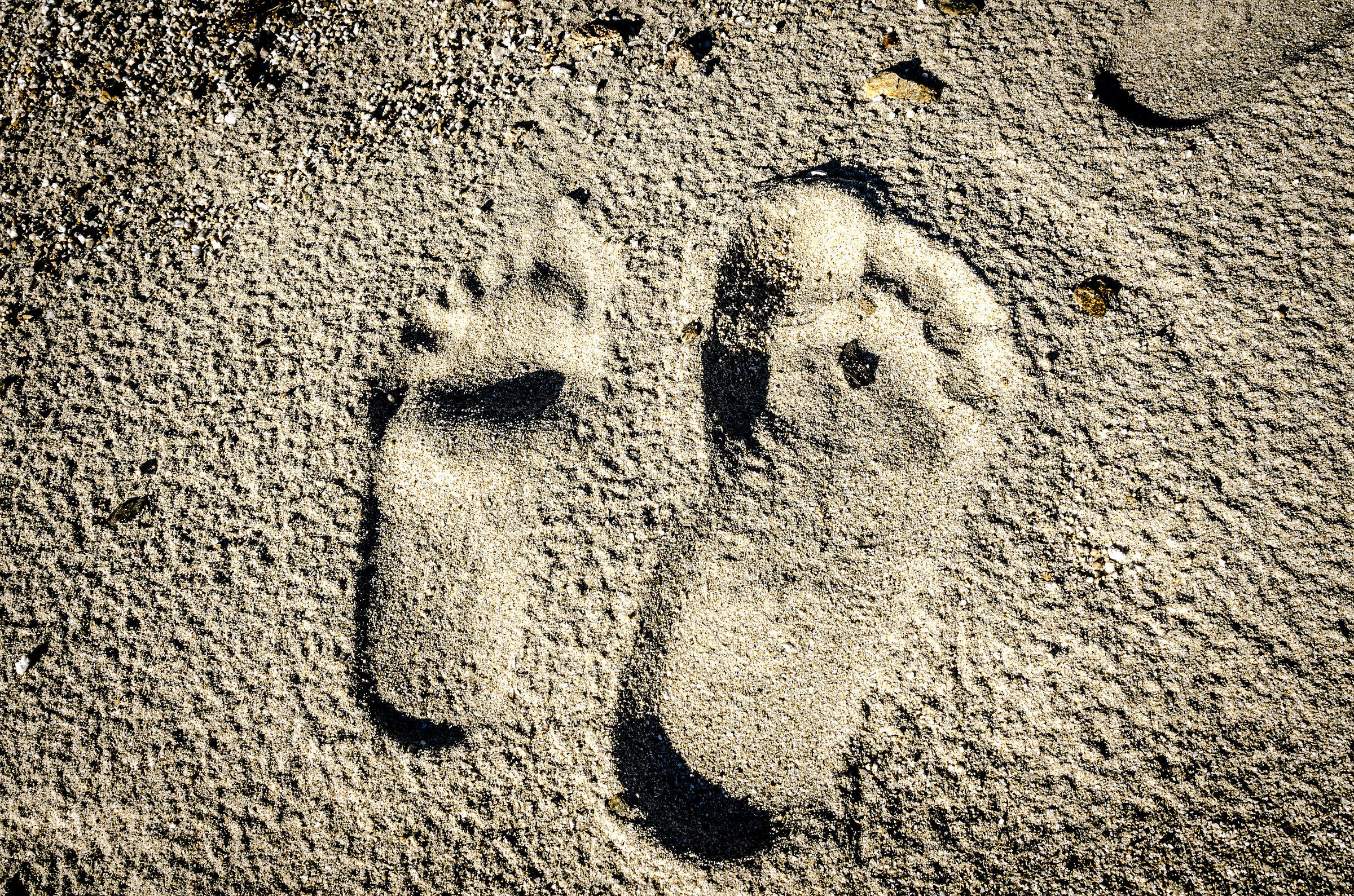 Come una cosa sola, insieme.